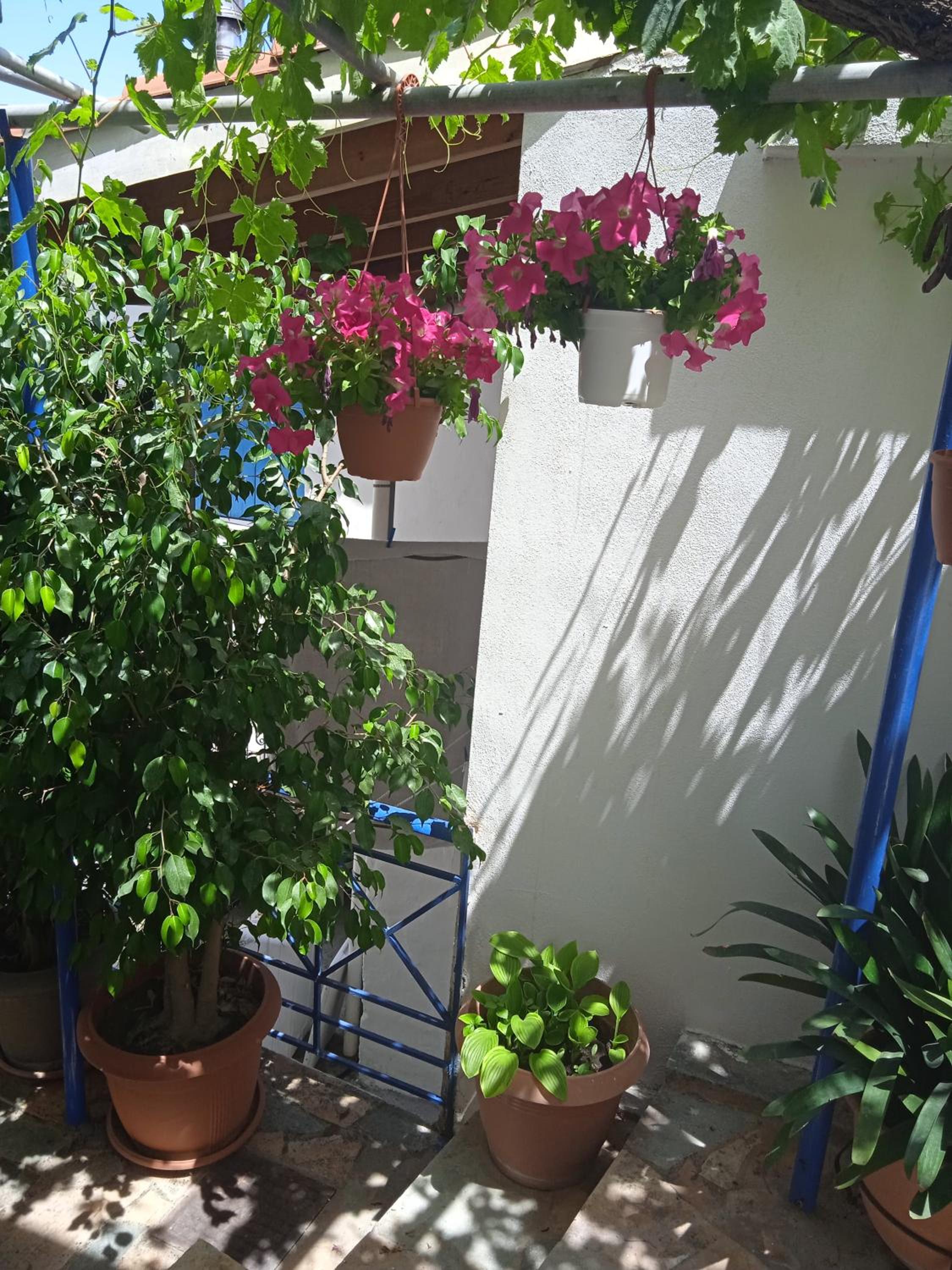 Apartment with Sea View - Photo 3