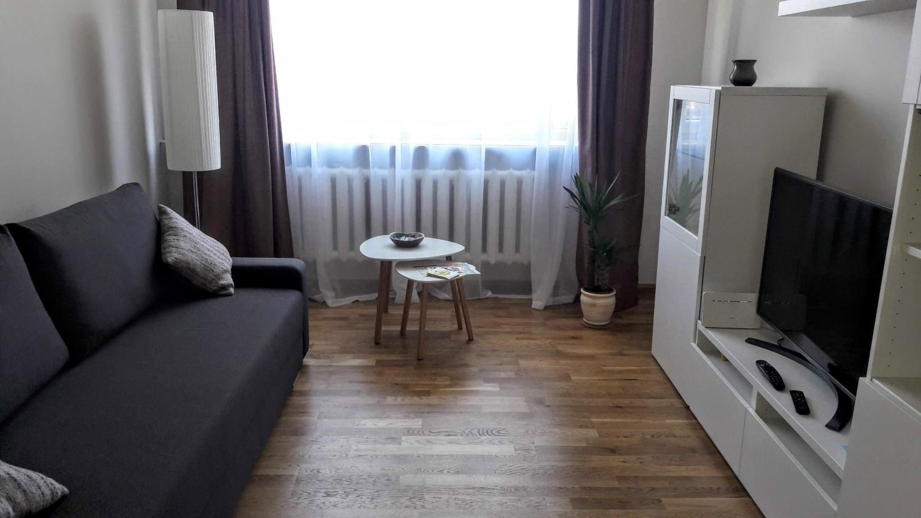One-Bedroom Apartment - Photo 3