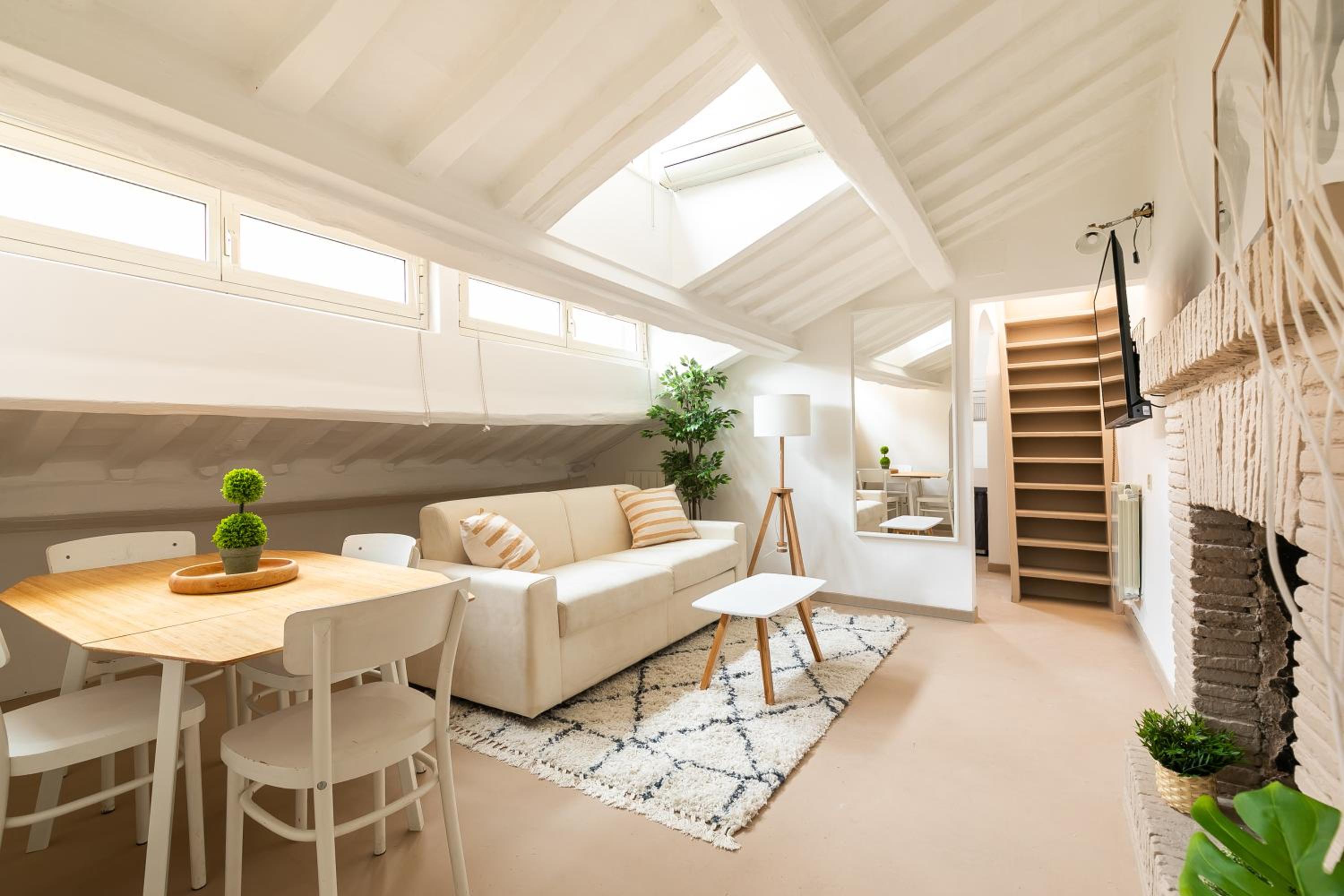 Penthouse Apartment