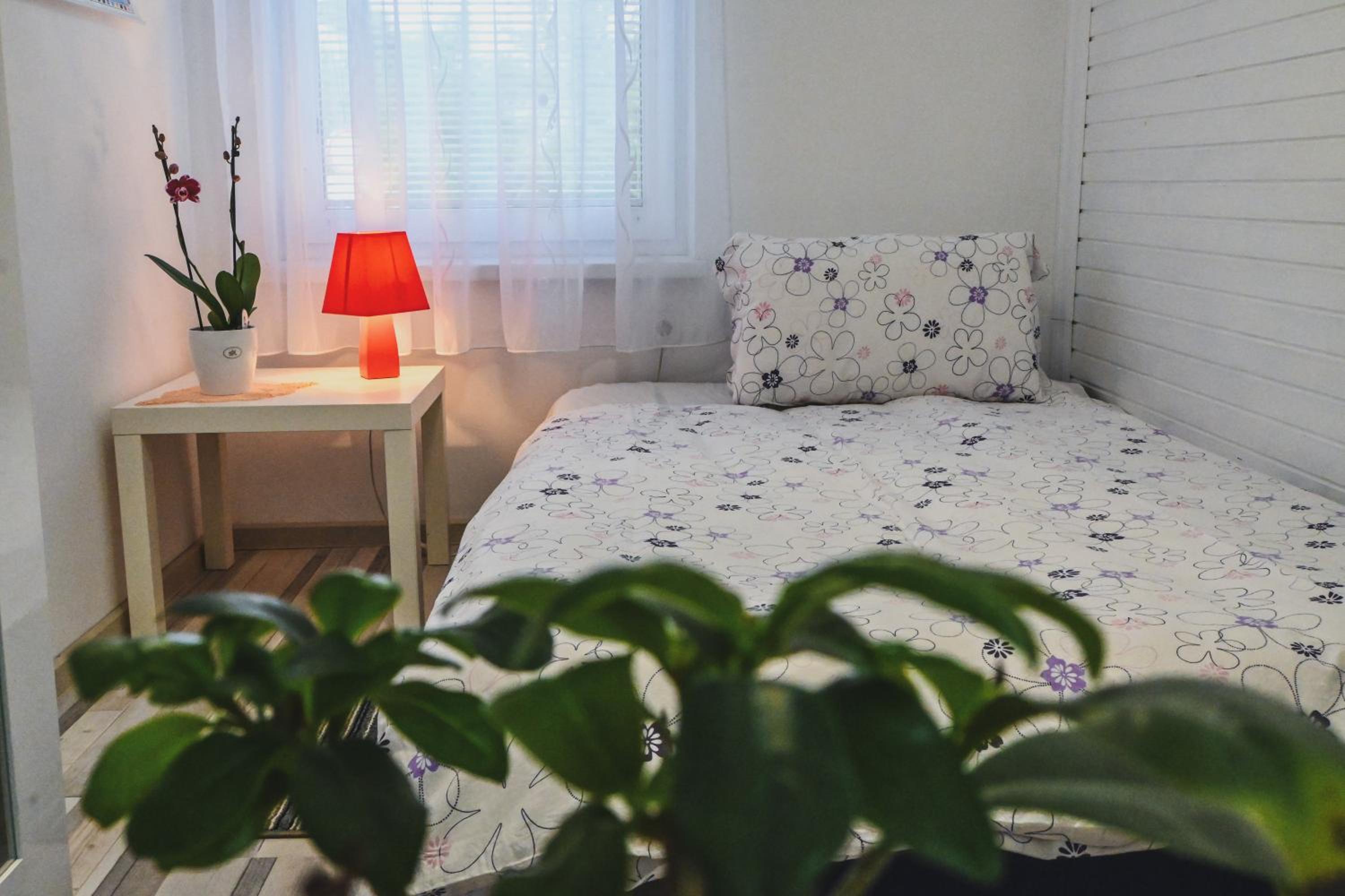 Single Room with Mountain View photo 1