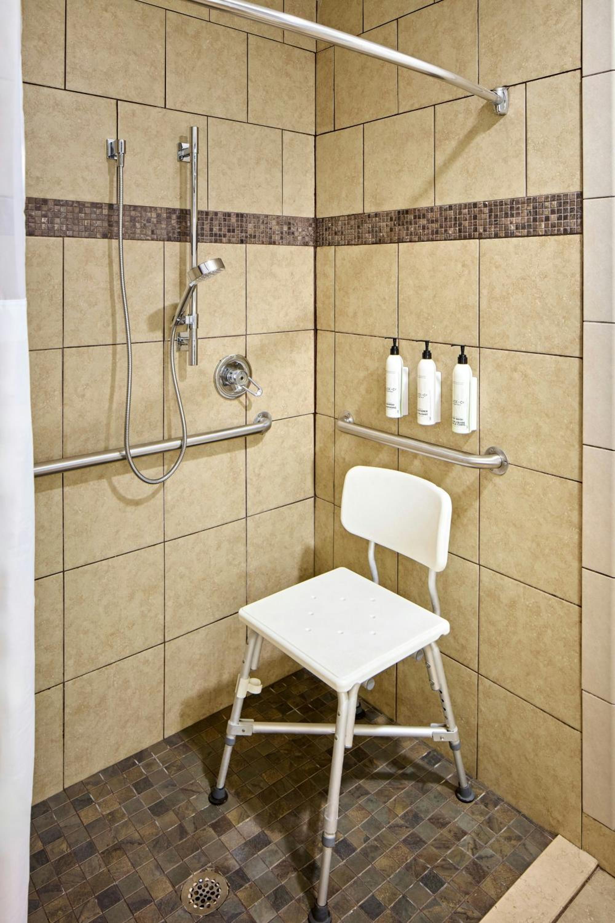 Queen Room - Mobility/Hearing Accessible with Roll-In Shower photo 3