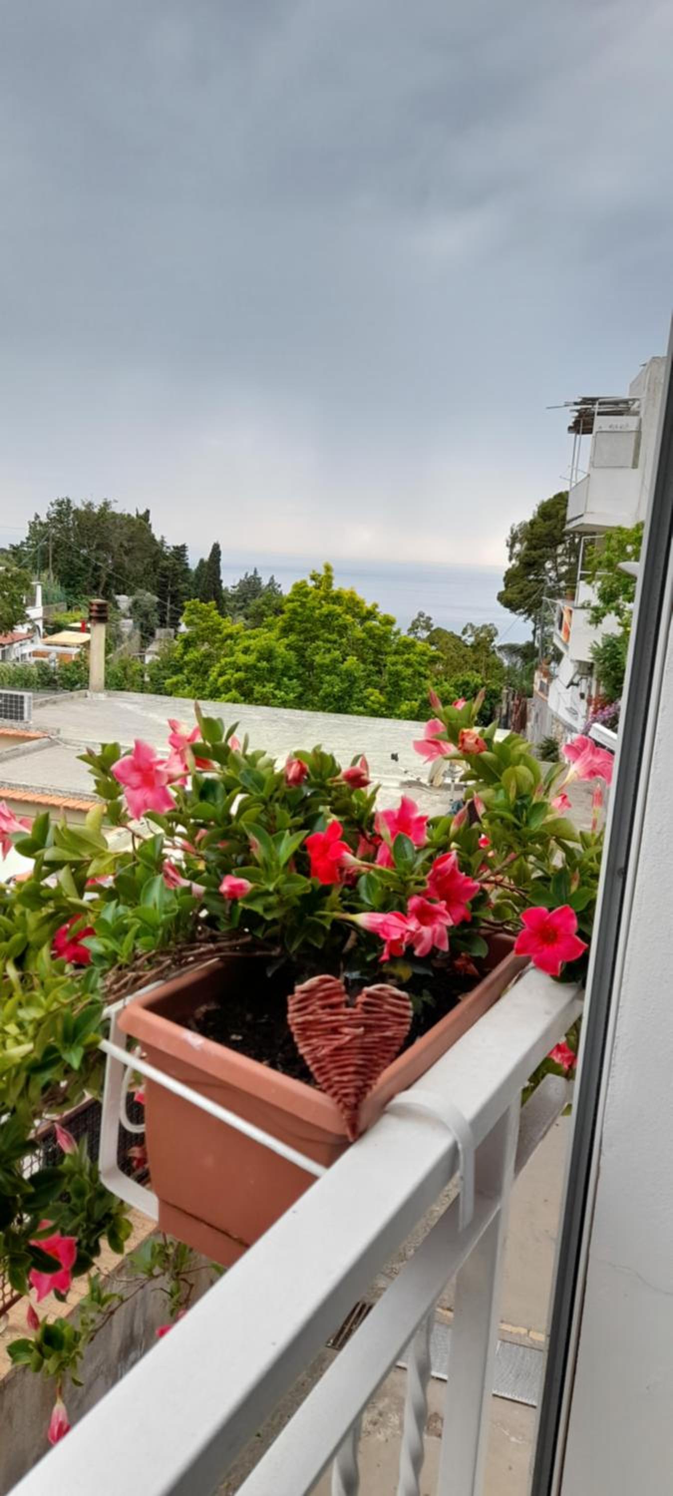 Apartment with Terrace - Photo 48