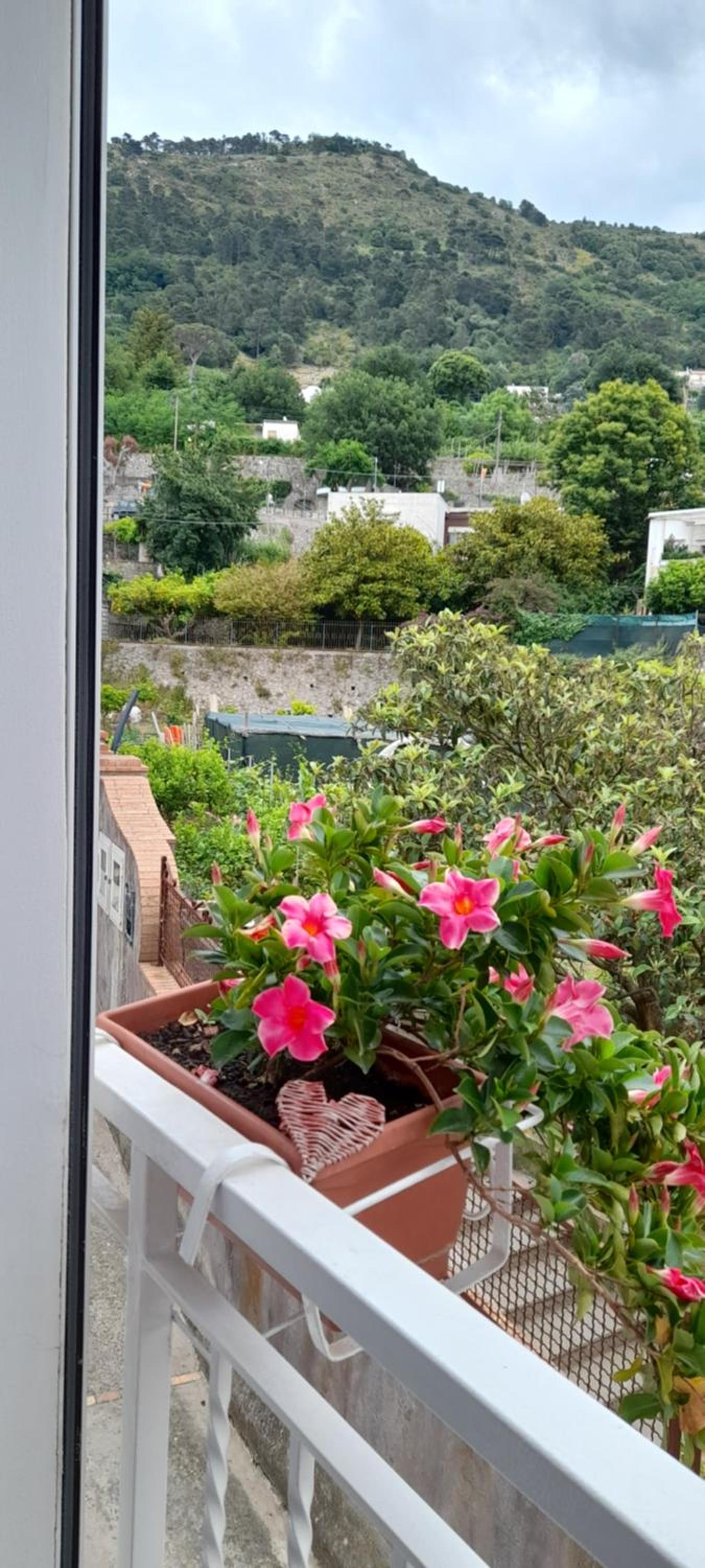 Apartment with Terrace - Photo 43
