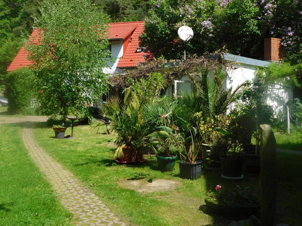 Apartment with Terrace photo 2