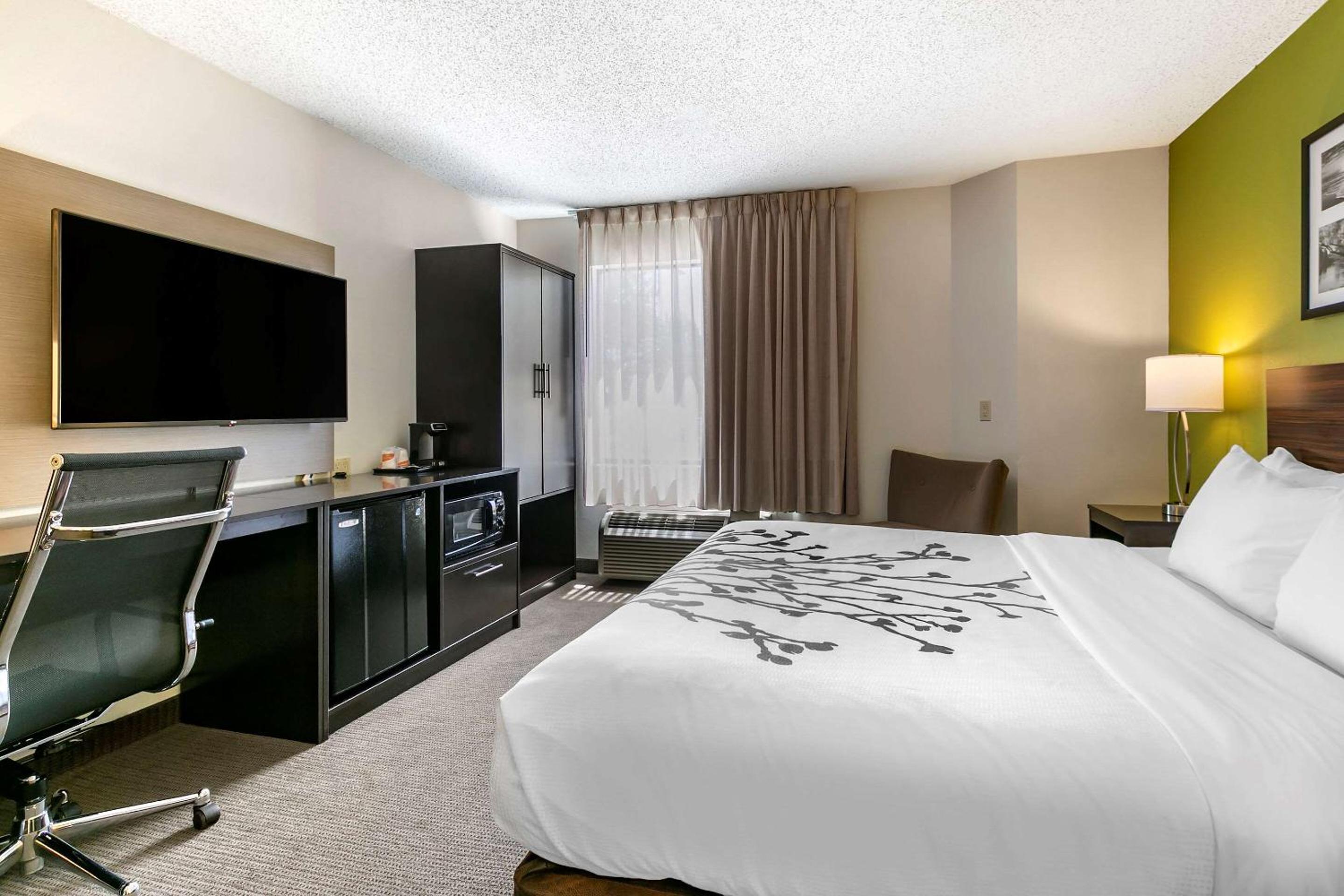 King Room - Non-Smoking - Photo 3