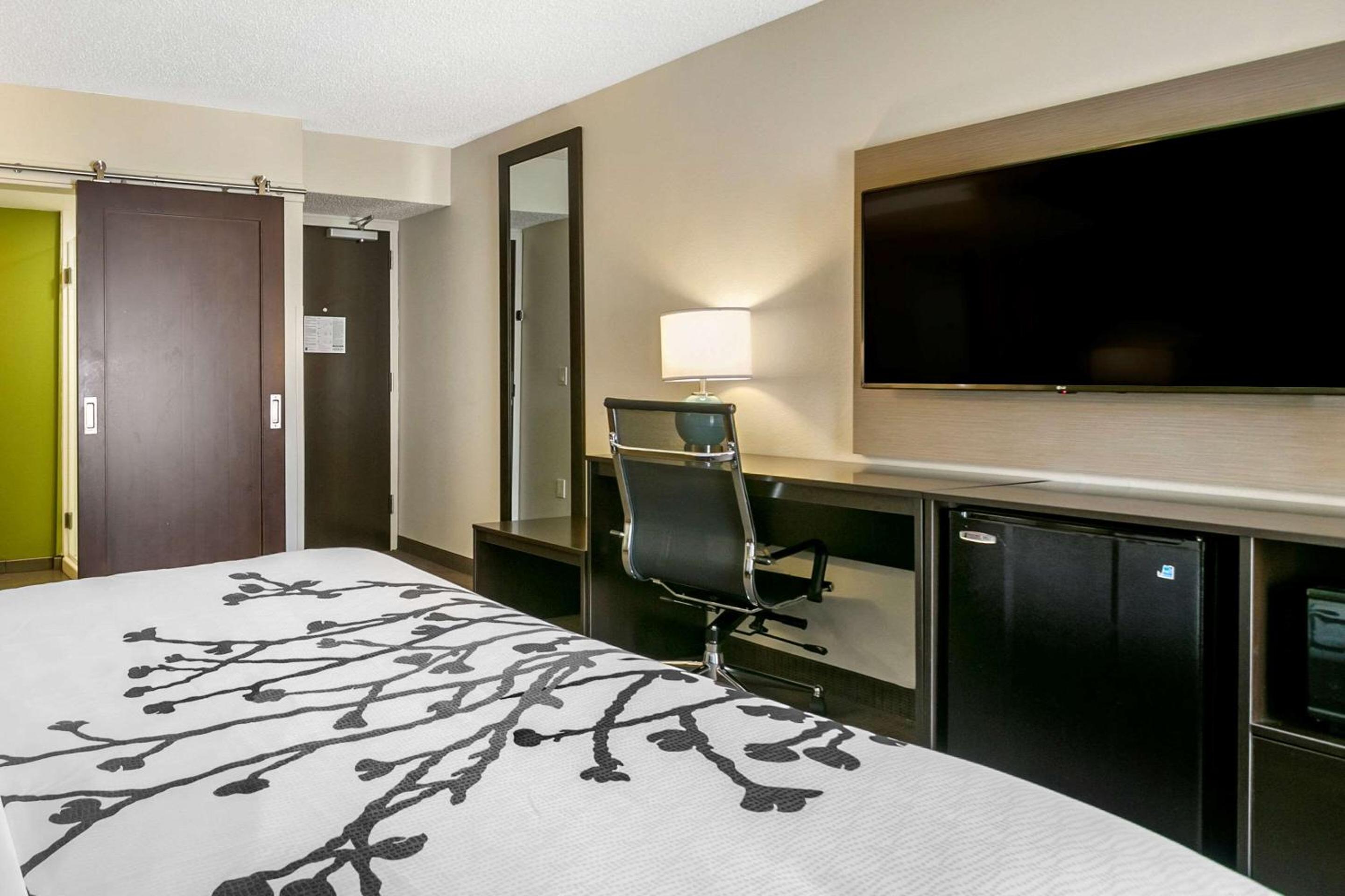 King Room - Non-Smoking - Photo 2