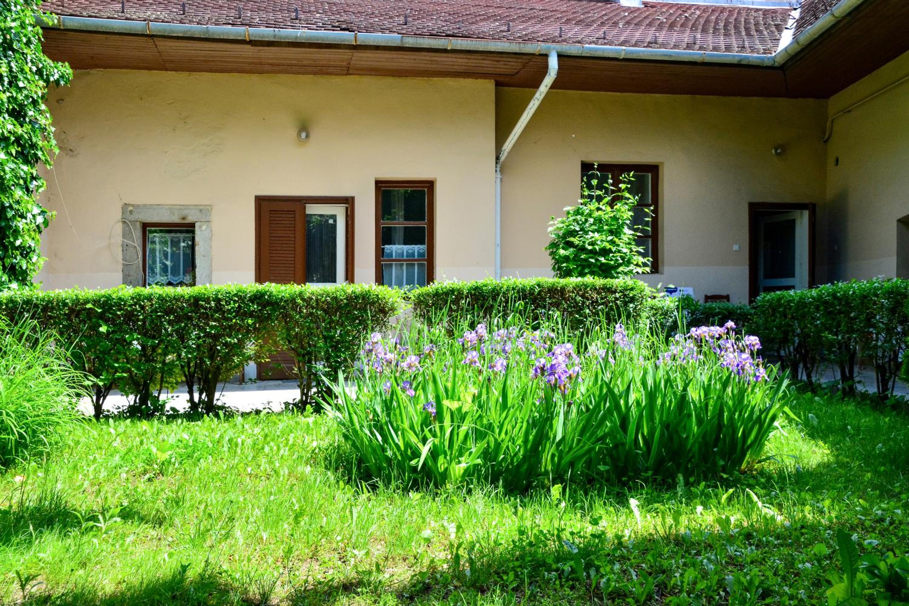 One-Bedroom Apartment (2 Adults) - Photo 25