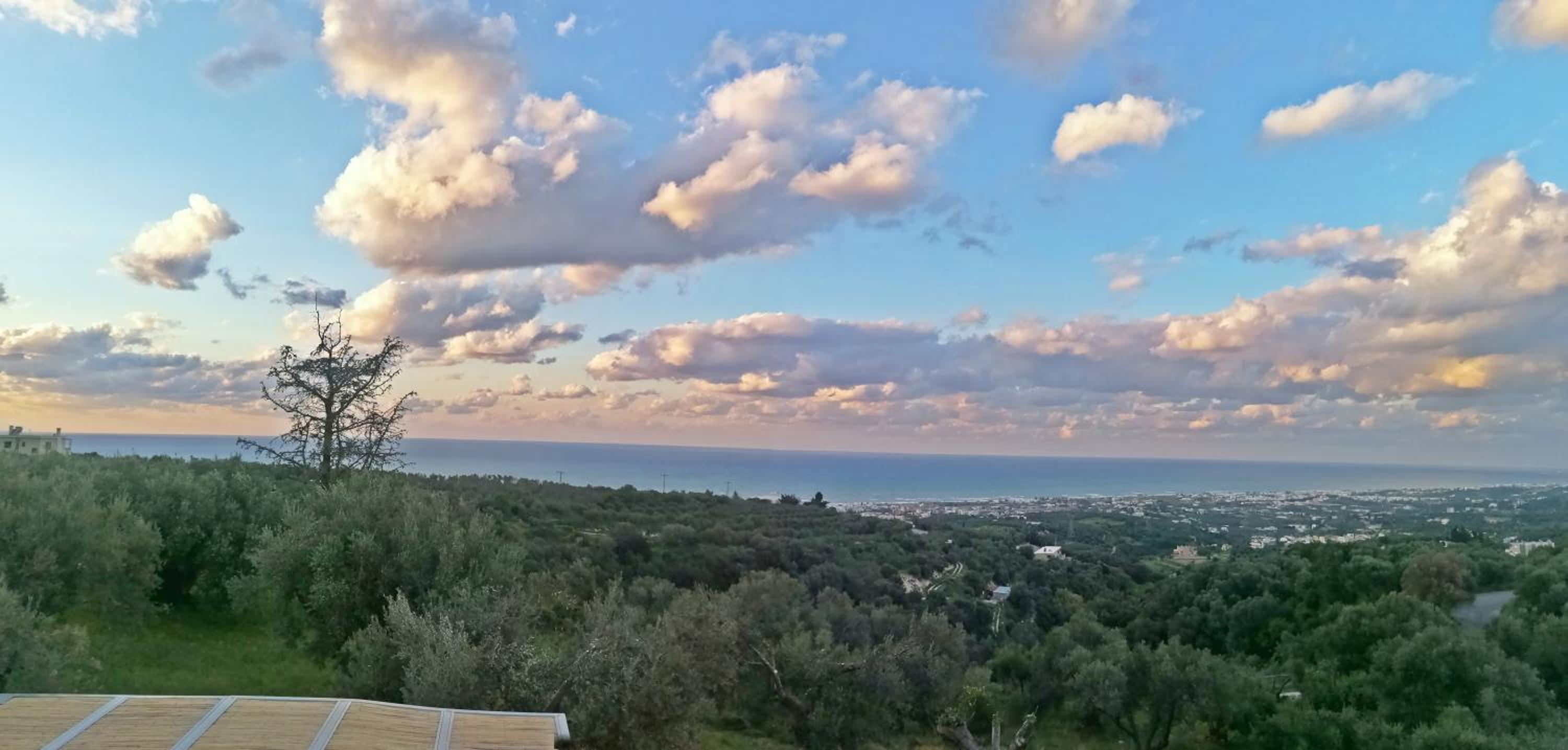 Apartment with Sea View photo 3