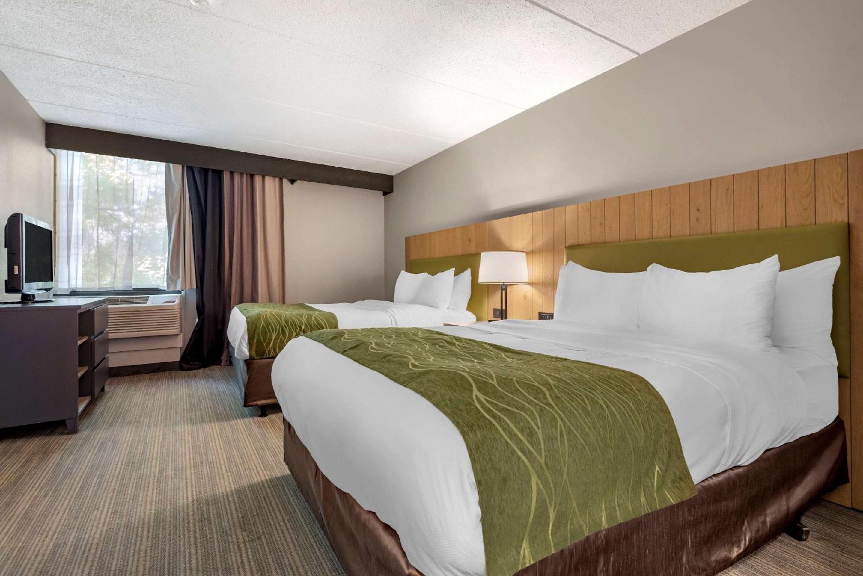 Executive Suite with Two Queen Beds  and Sofa Bed - Non Smoking - Photo 1