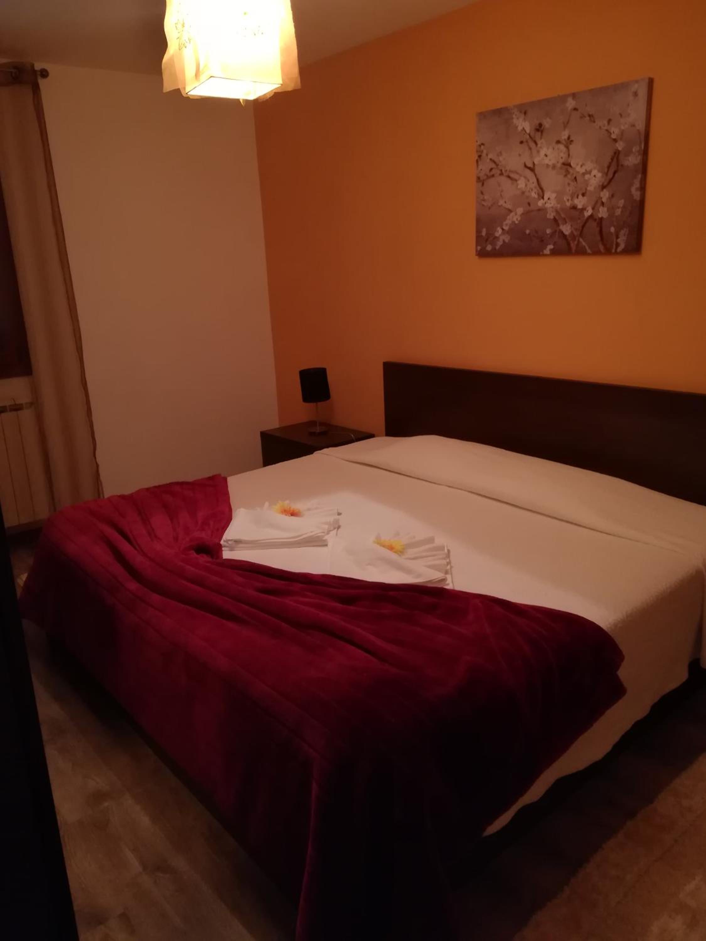 Superior Suite photo 1