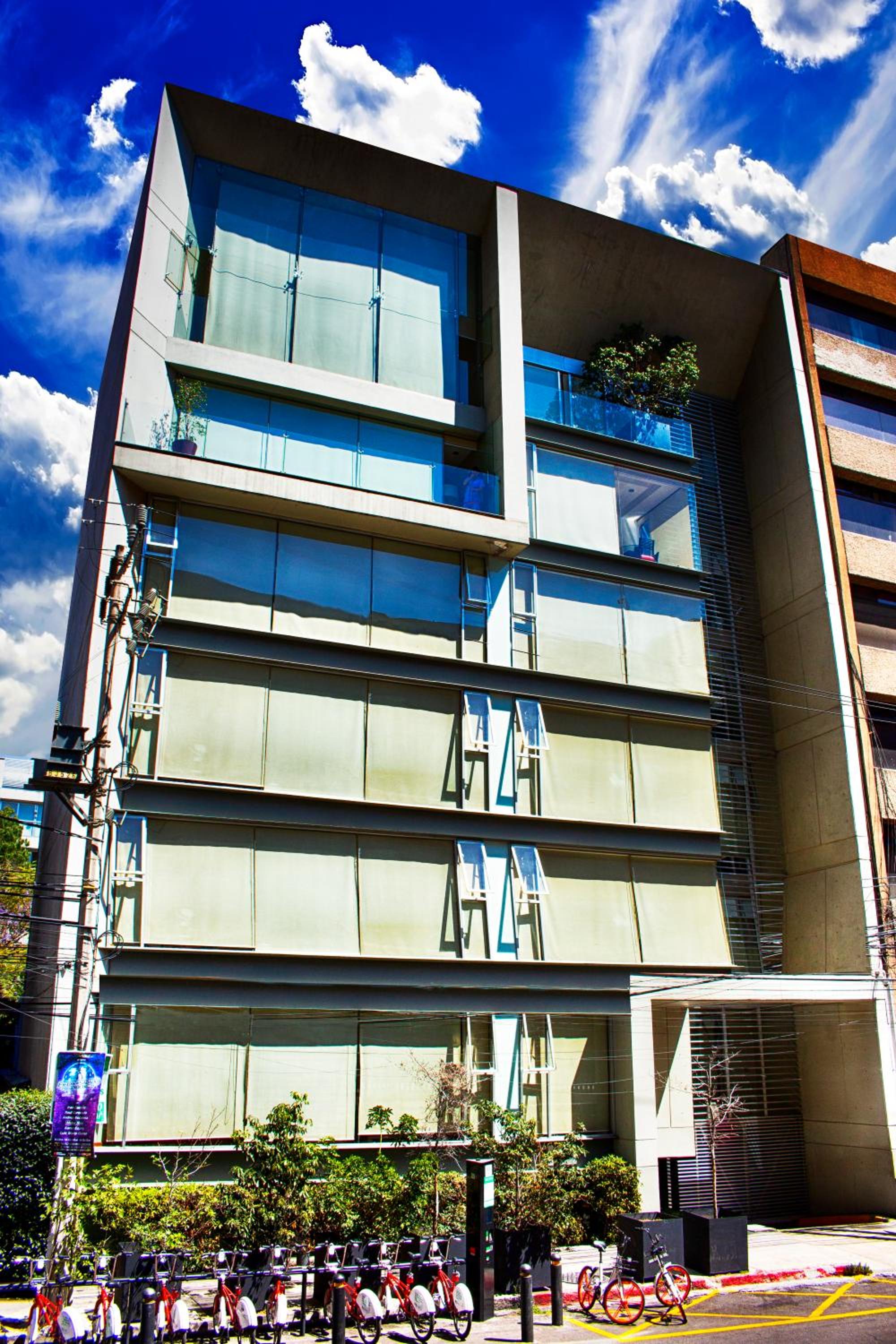 Executive Suite - Photo 9