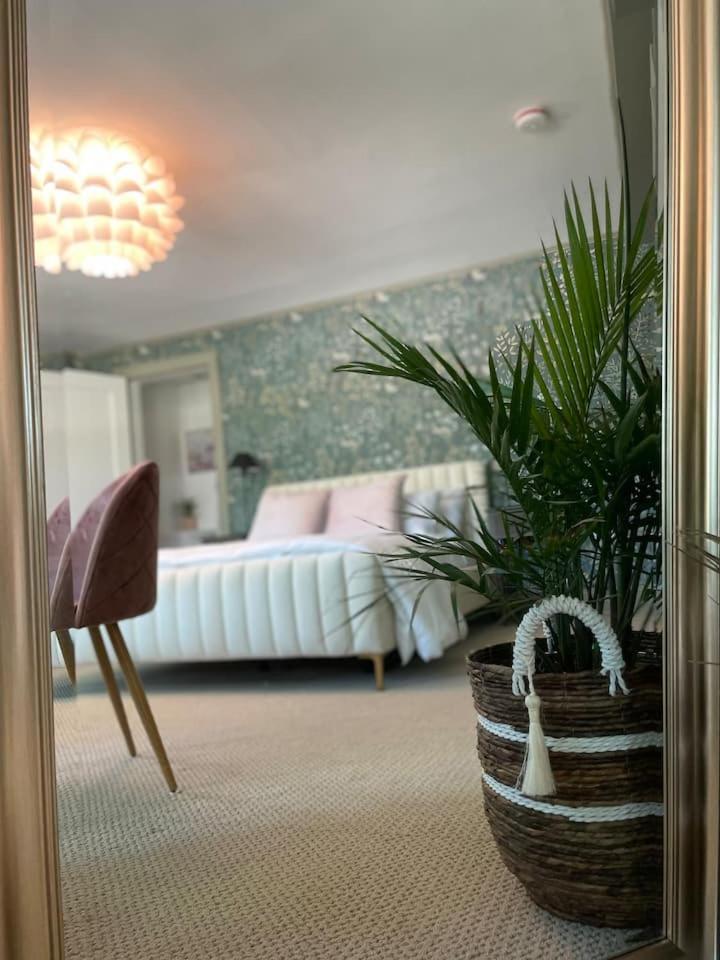 Queen Suite photo 1