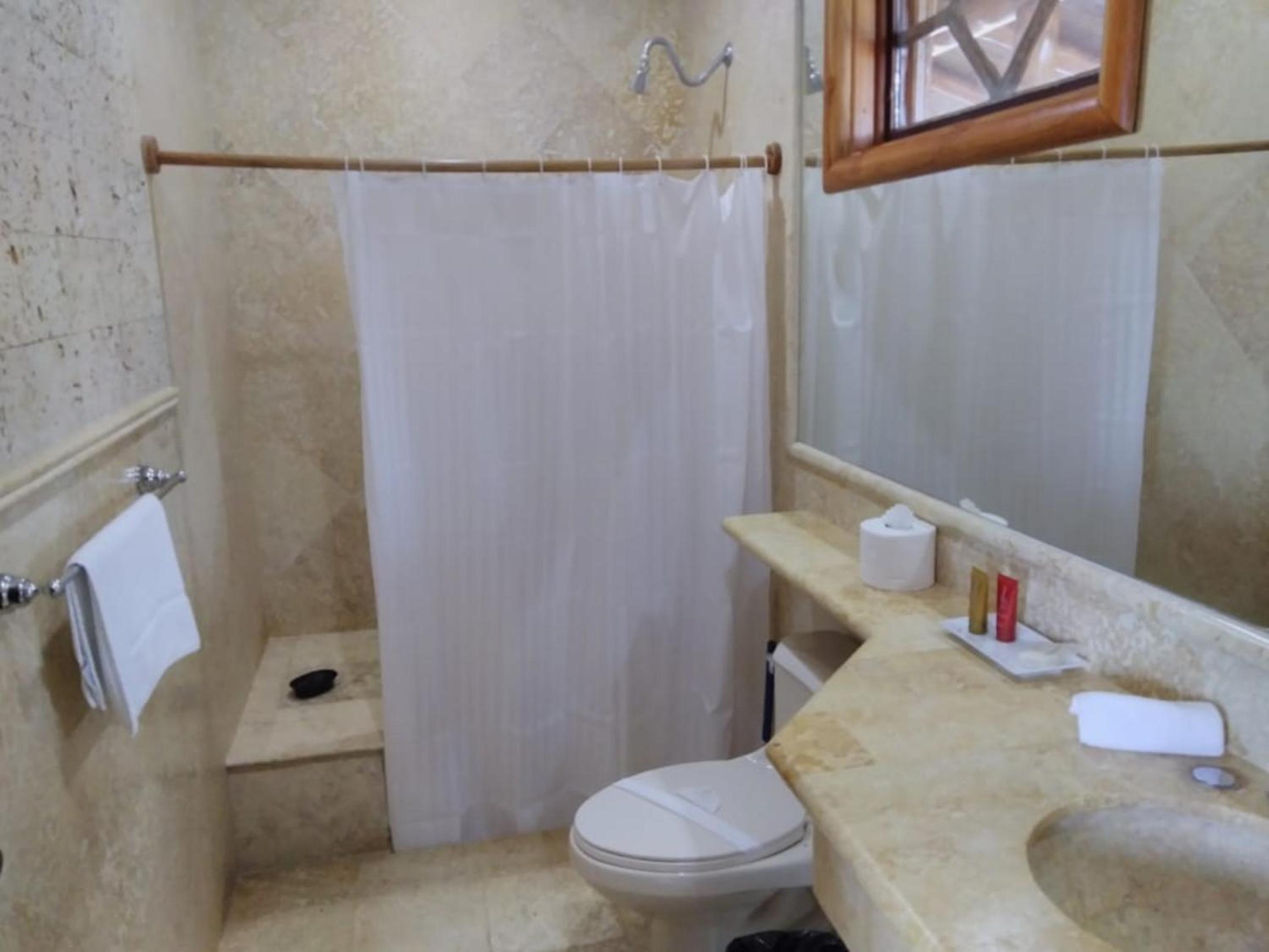 Deluxe Suite photo 3
