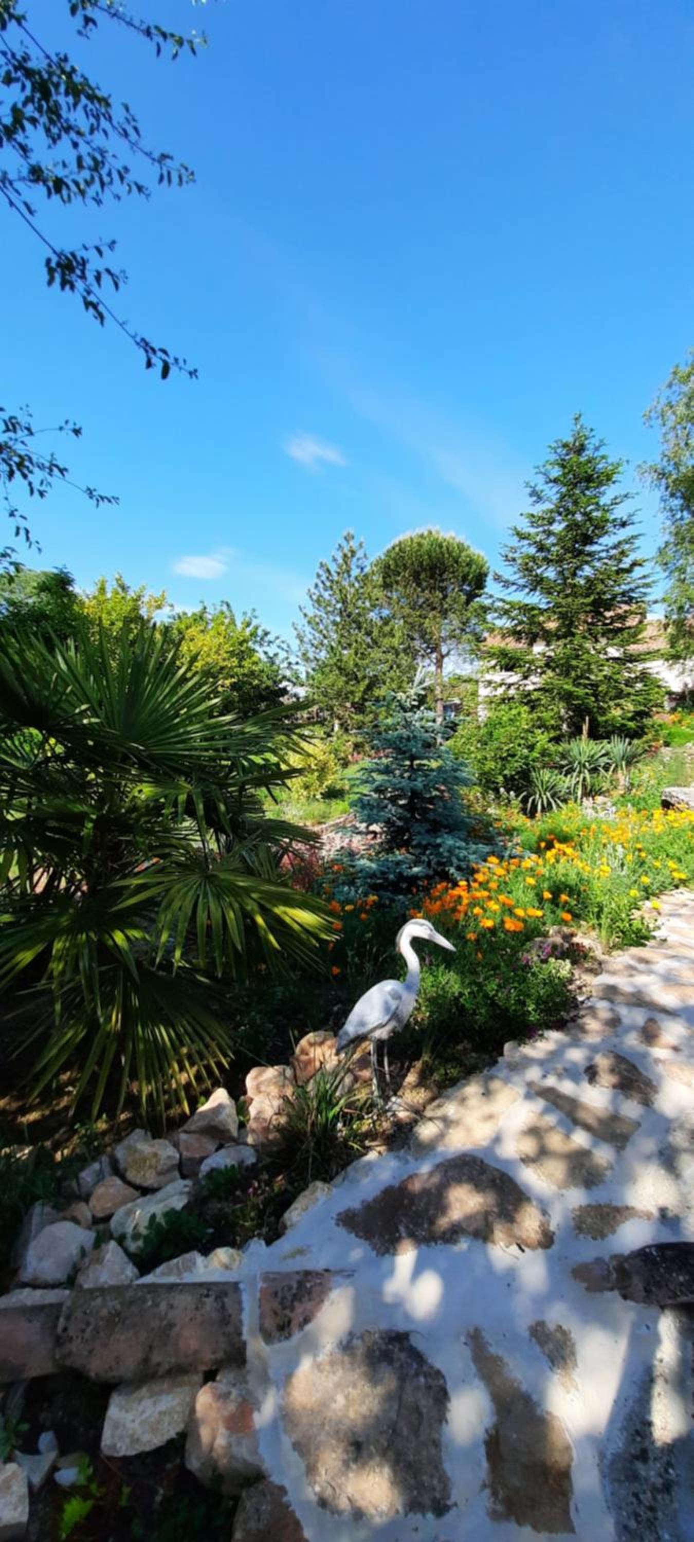 Chalet - Photo 6