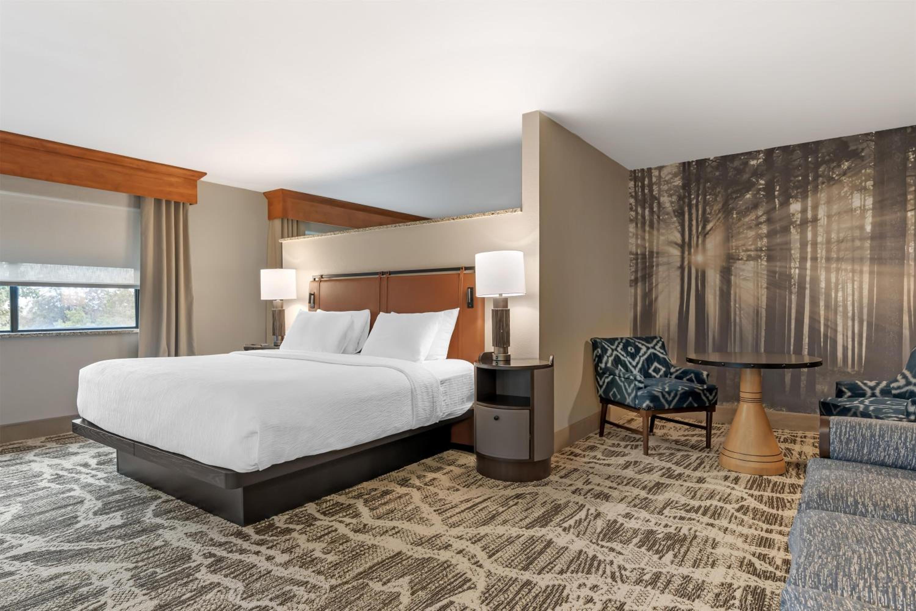 King Suite with Two Sofa Beds - Non-Smoking