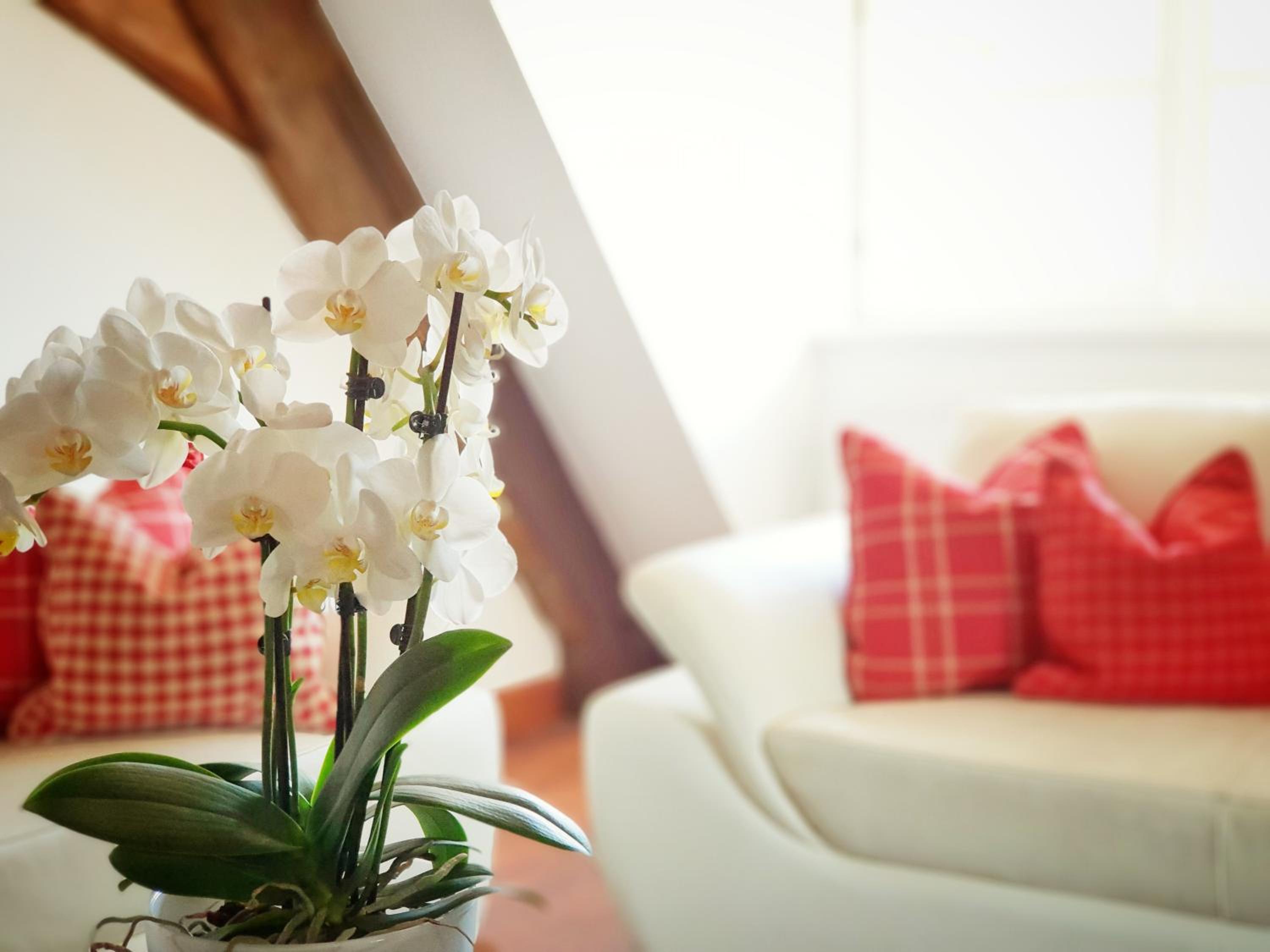 Suite photo 2