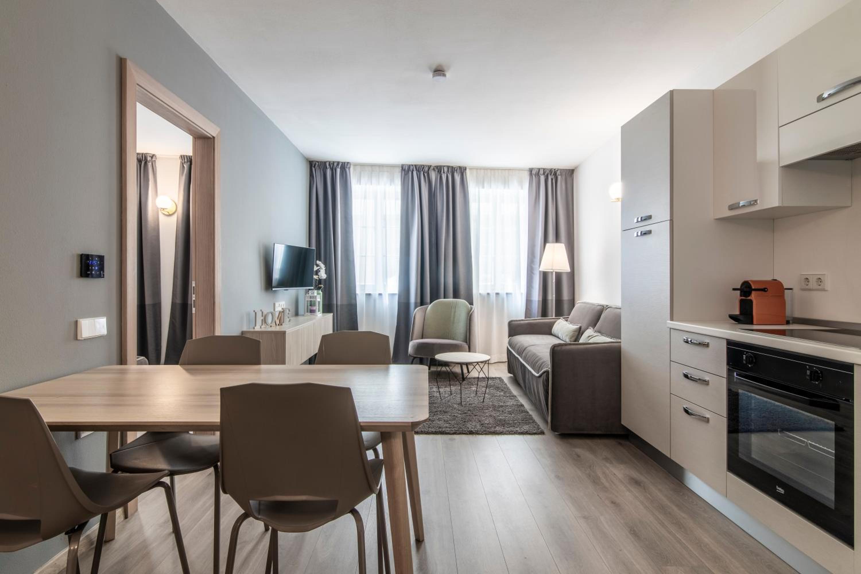 Standard Large One-Bedroom Apartment 