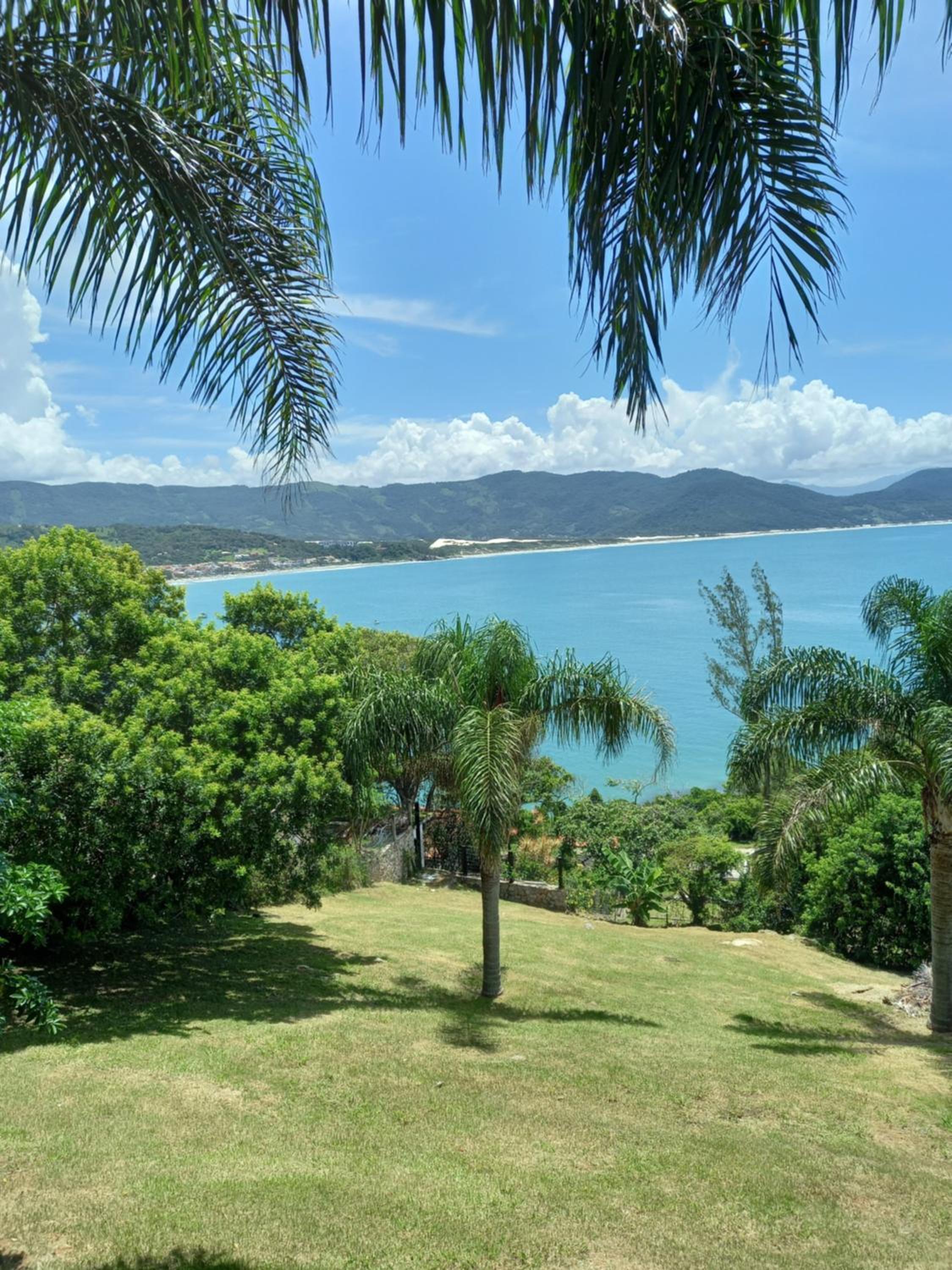 Apartment with Sea View photo 2