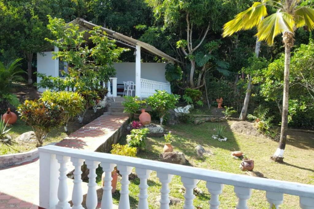 Three-Bedroom House photo 2