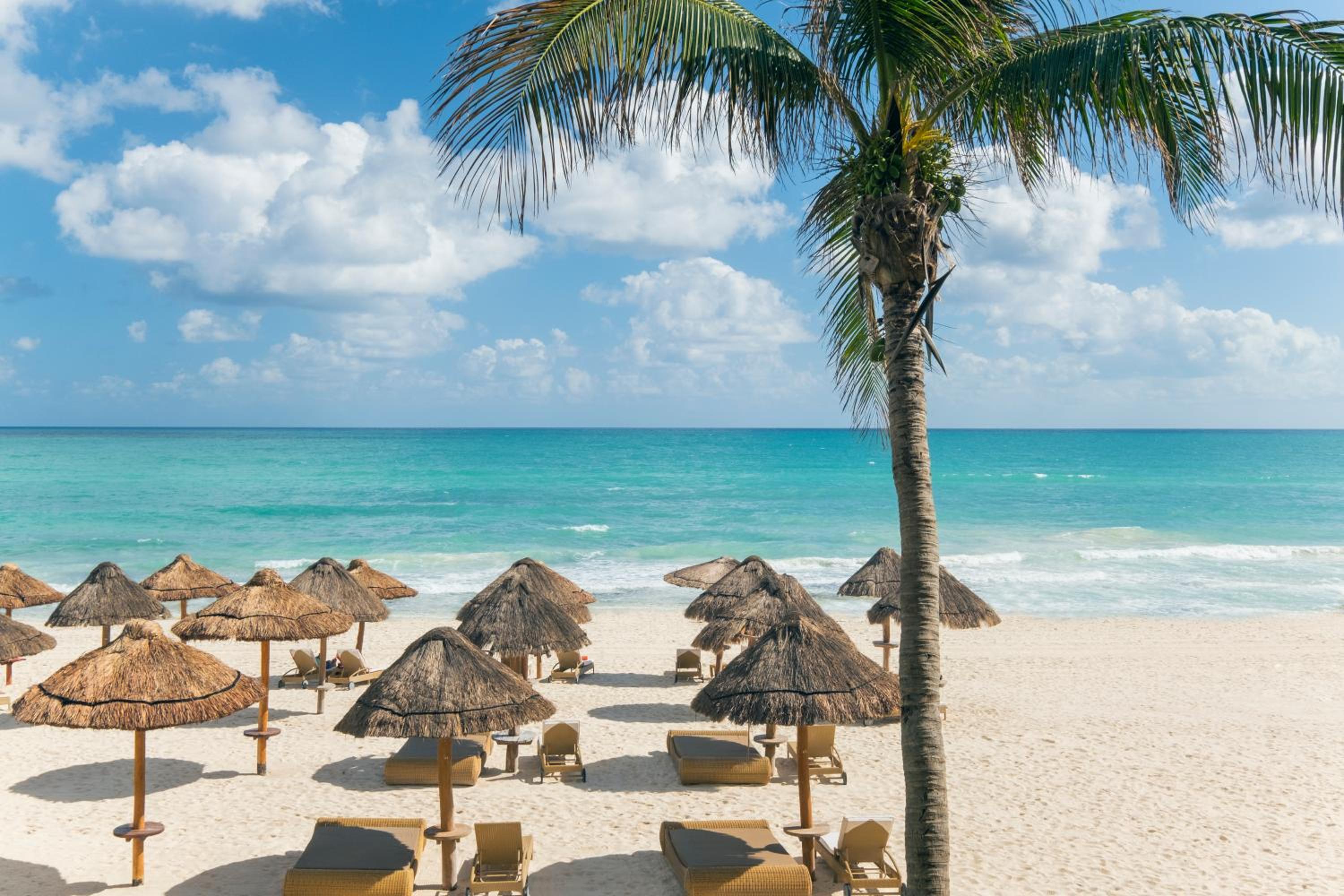 Ocean Front Butler Suite Beach Access