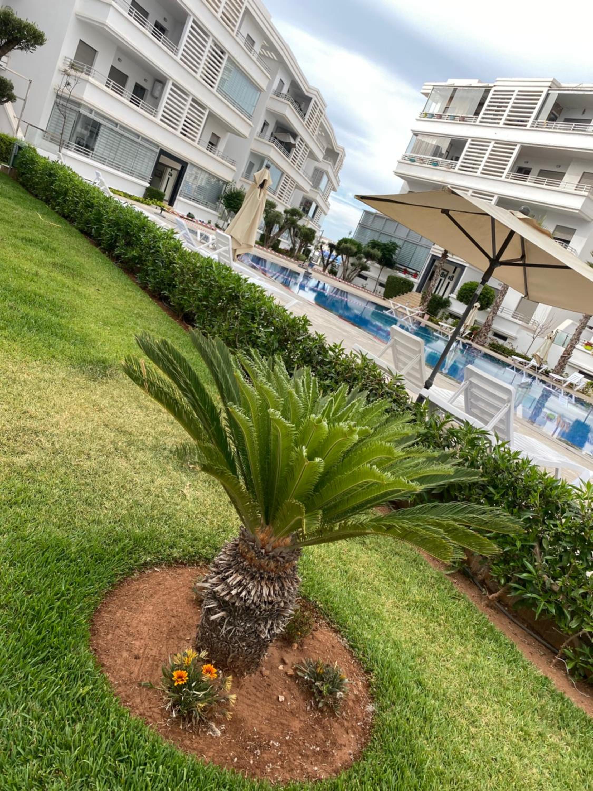 Apartment with Sea View - Photo 13