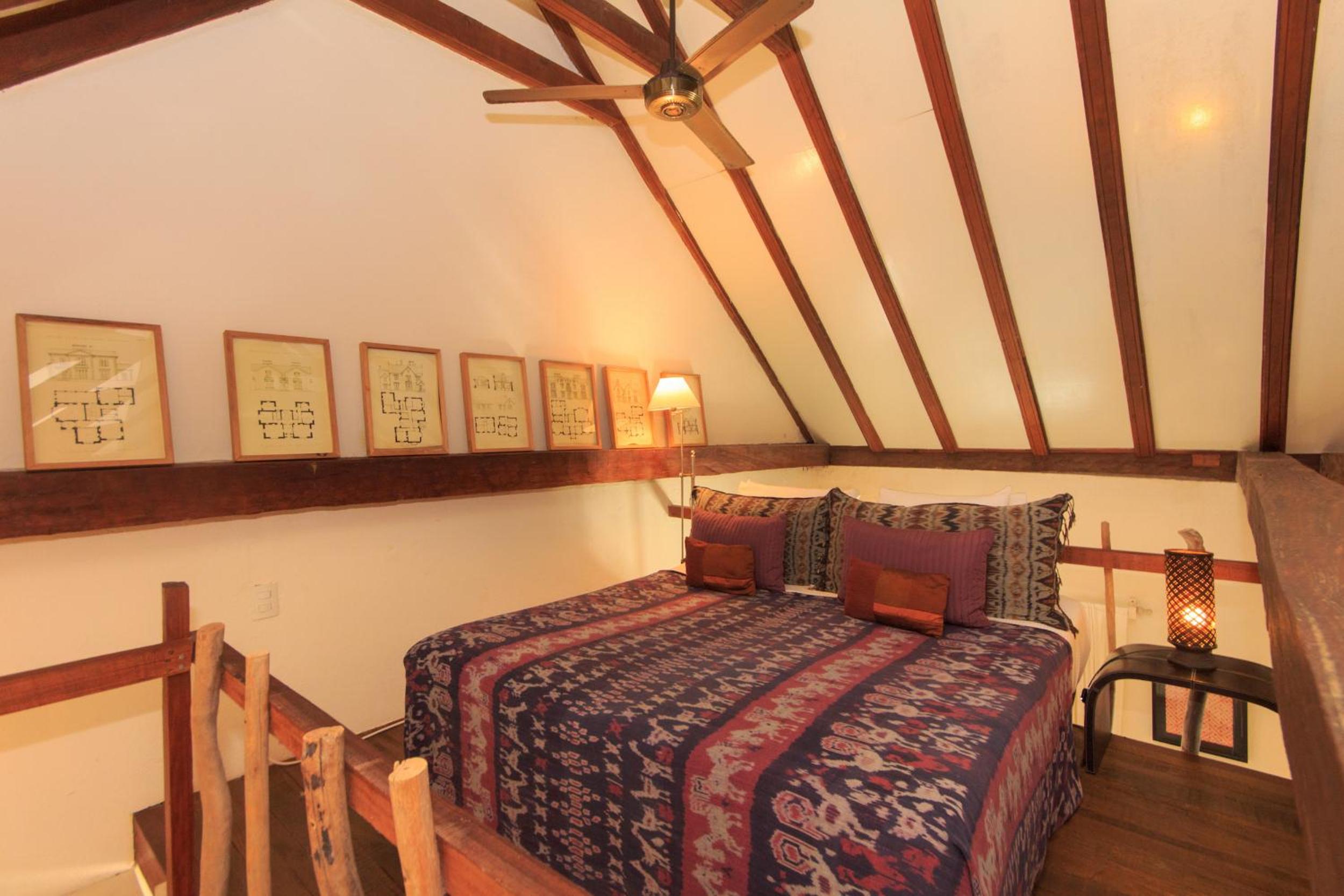 Suite - Photo 1