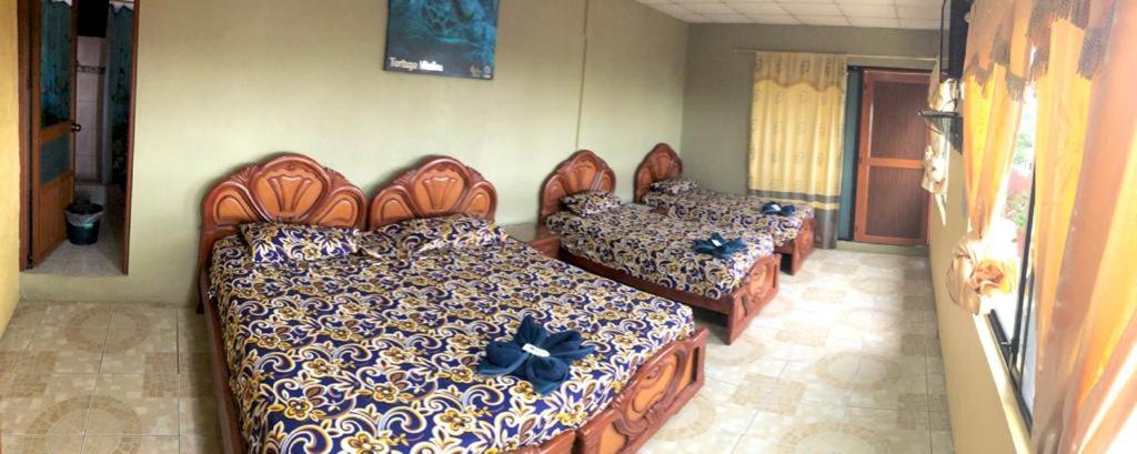 Quadruple Room with Terrace photo 1