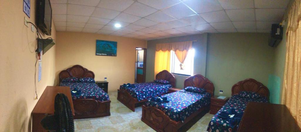 Quadruple Room with Terrace photo 2