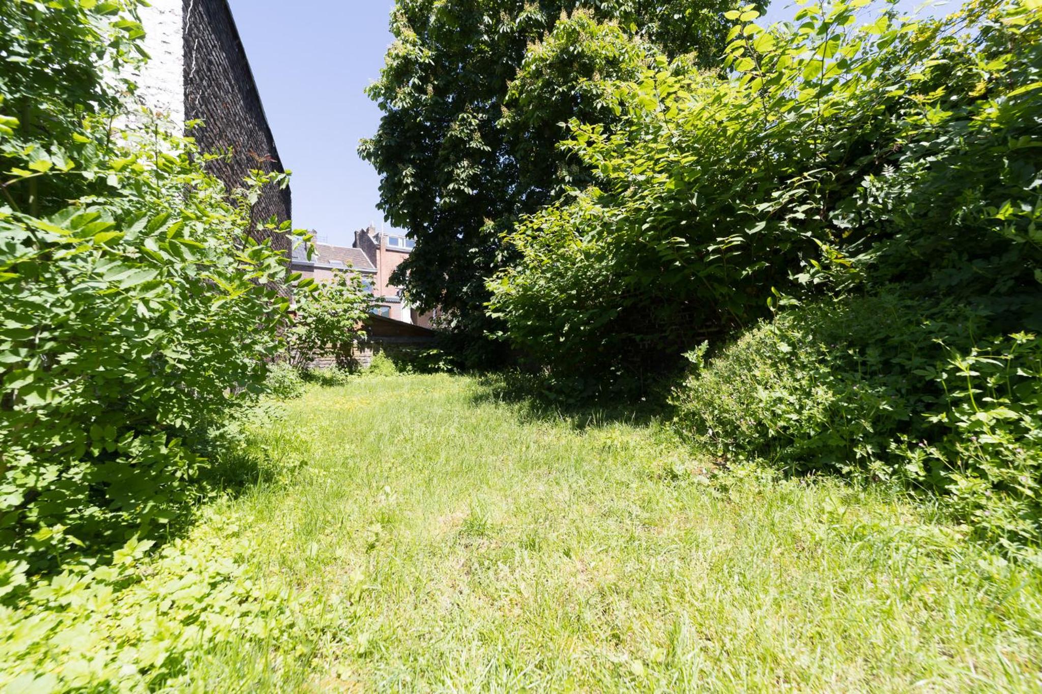 Apartment with Terrace photo 3