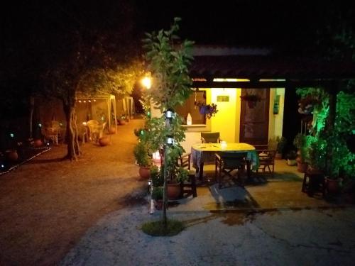 Double Room - Photo 25