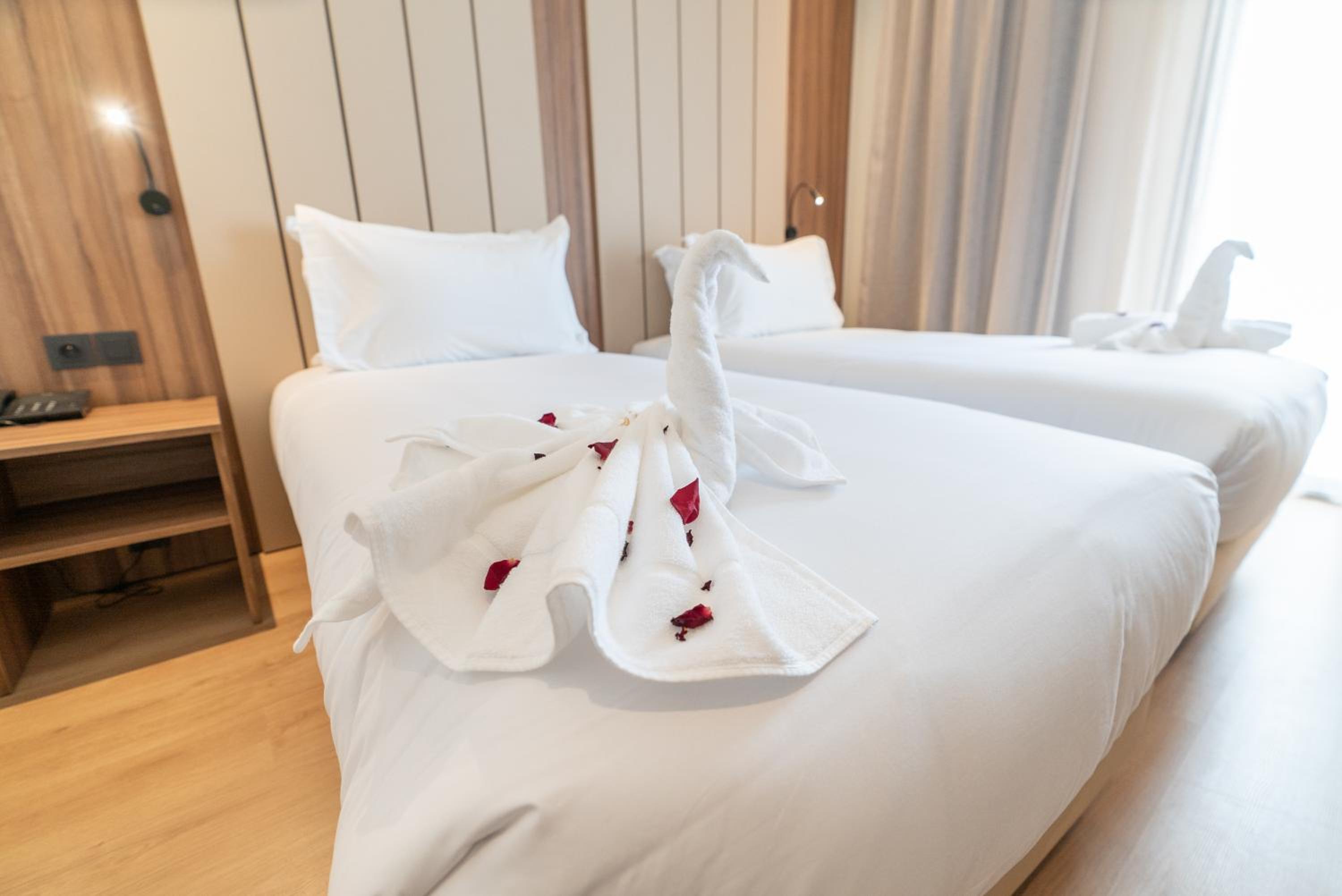 Twin Room - Photo 4
