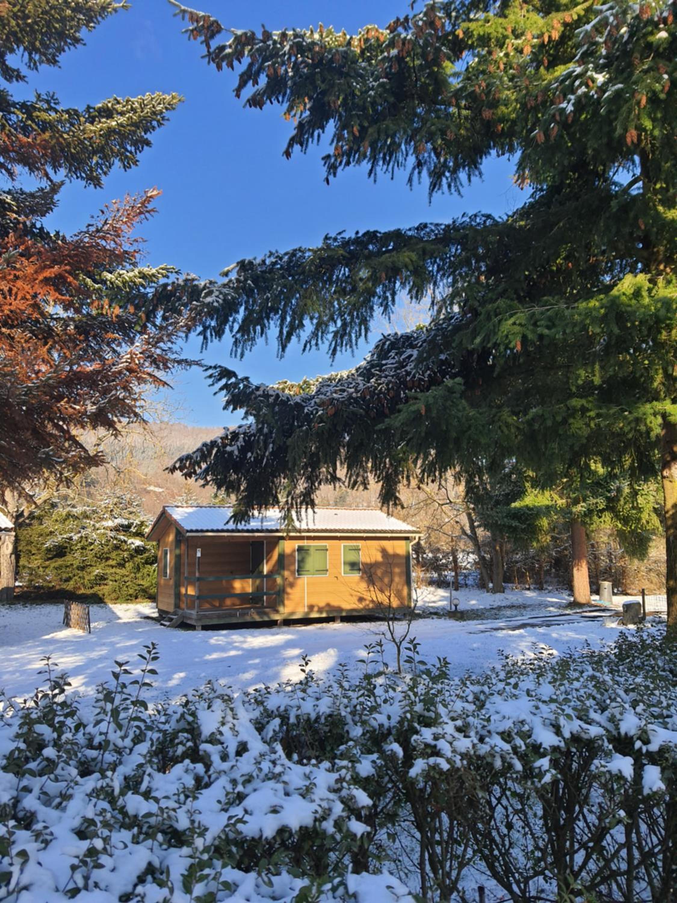 Chalet photo 1