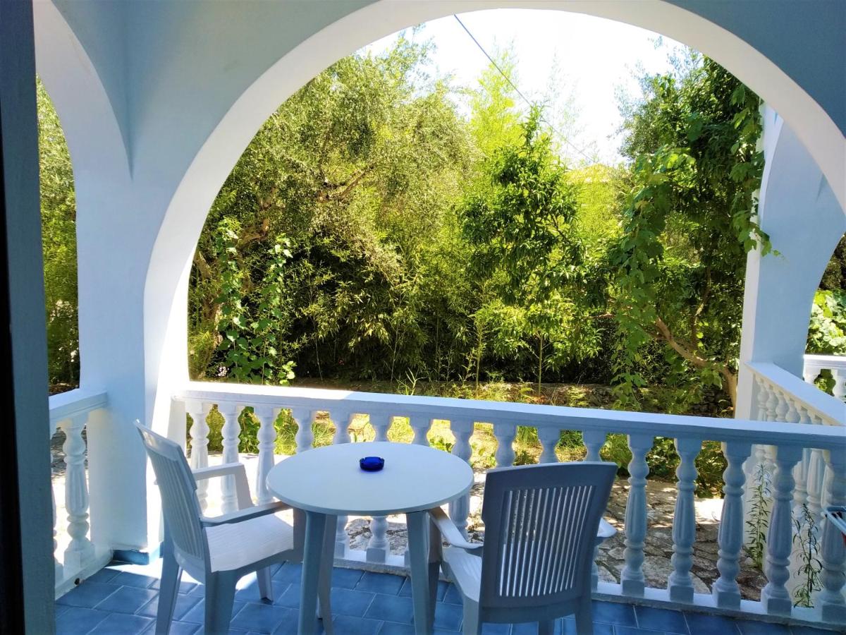 Studio with Garden View