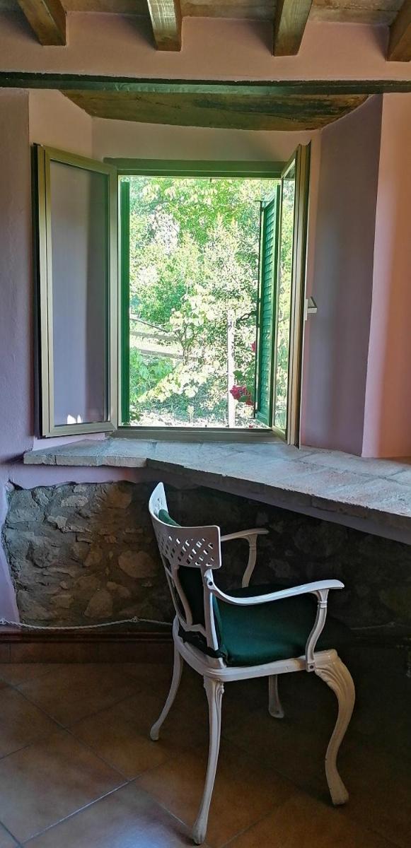 Suite with Terrace photo 2