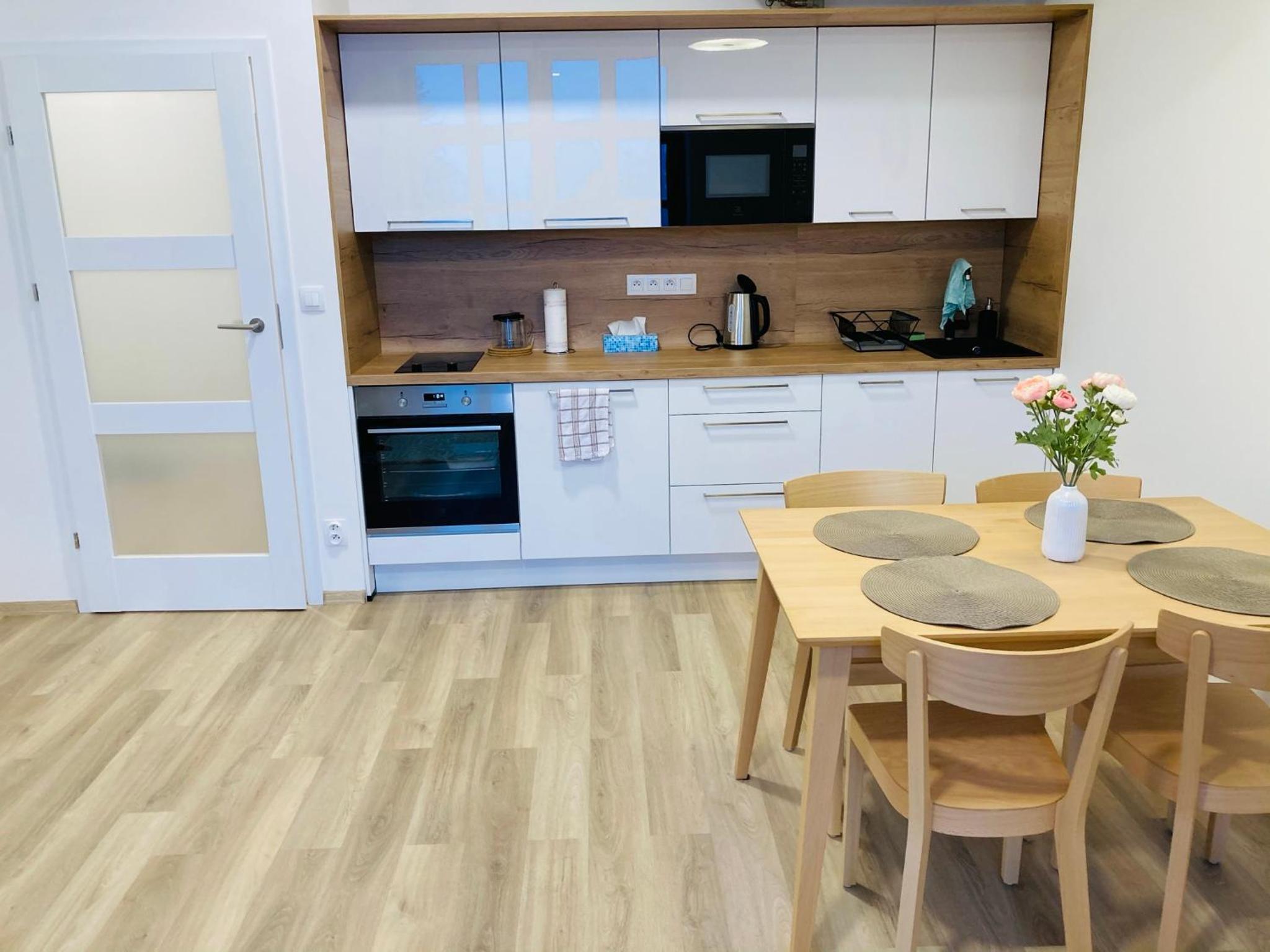One-Bedroom Family Apartment photo 2
