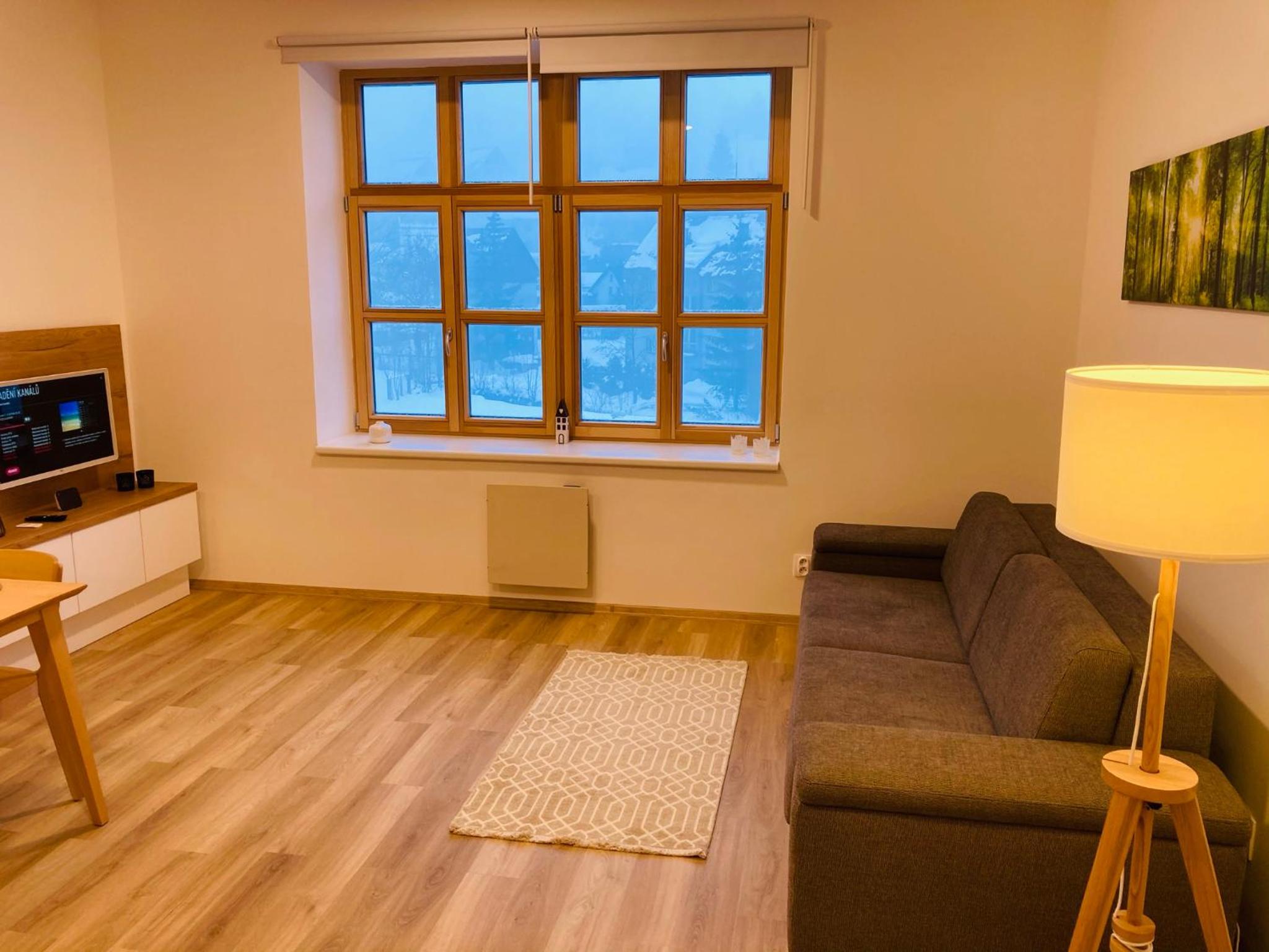 One-Bedroom Family Apartment photo 2