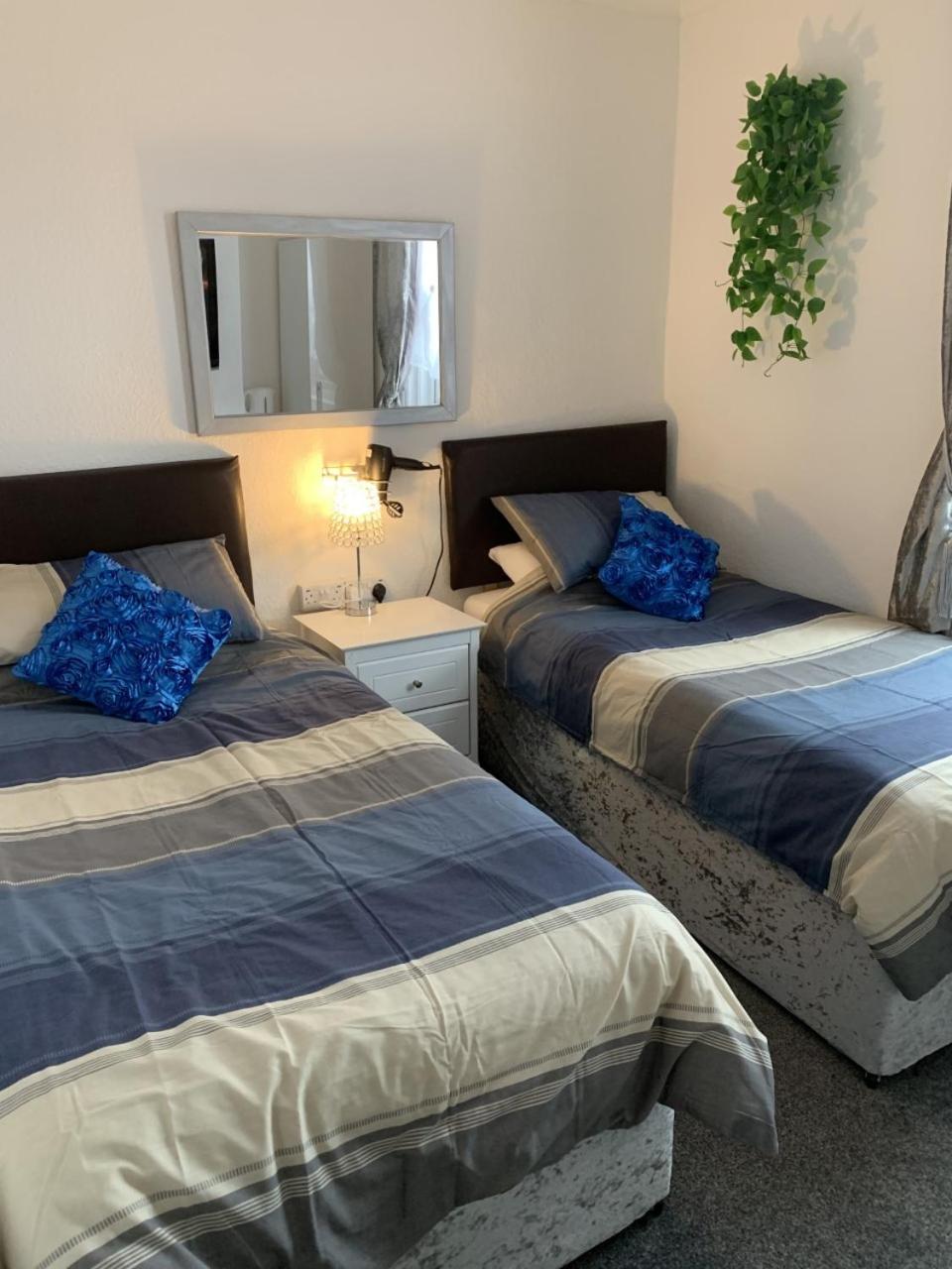 Standard Twin Room photo 3