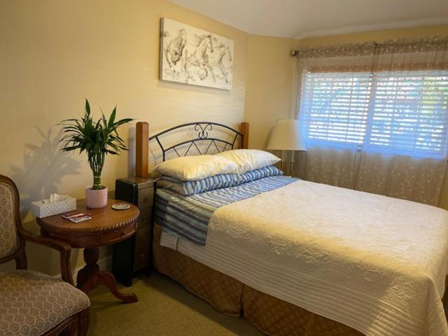 Standard Queen Room