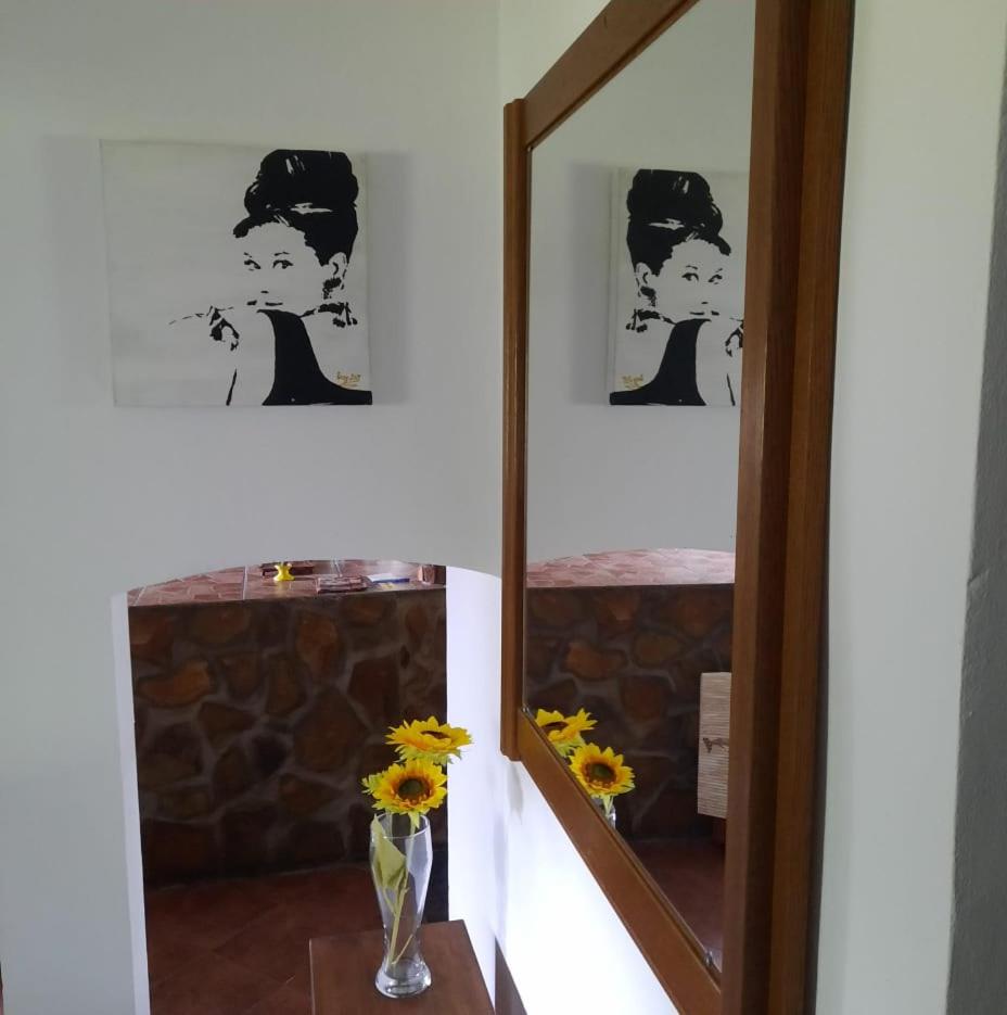 Apartment - Ground Floor - Photo 8