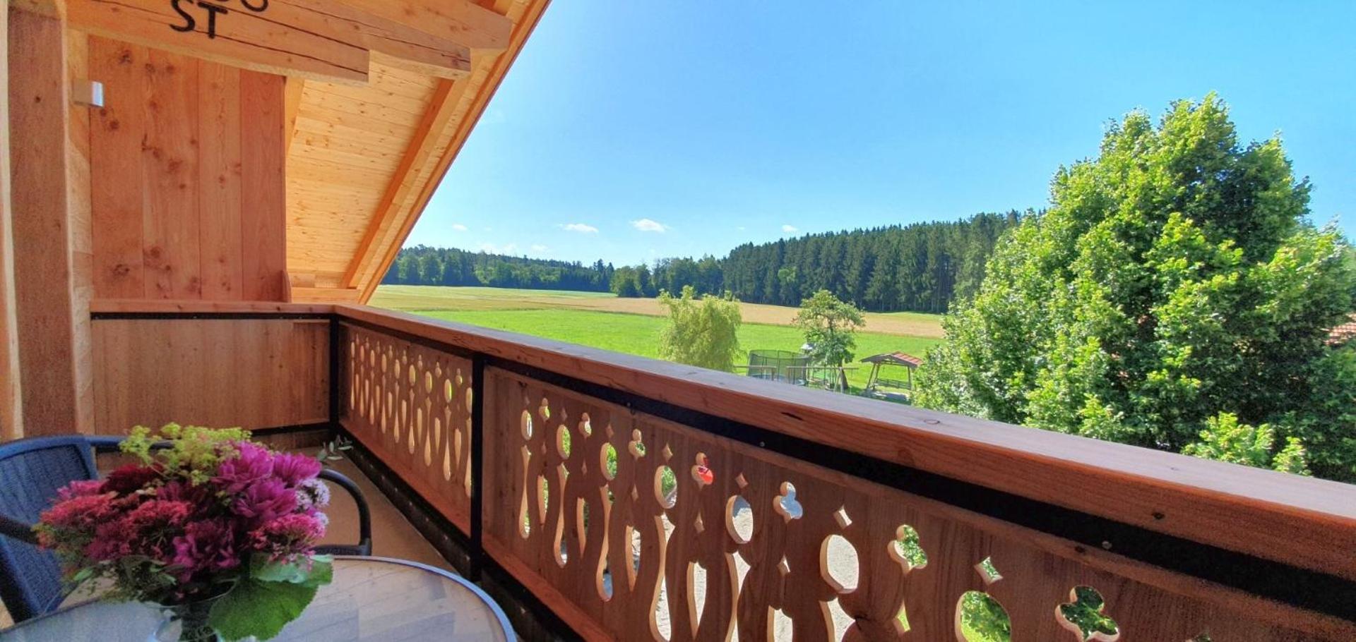 Apartment with Balcony photo 3
