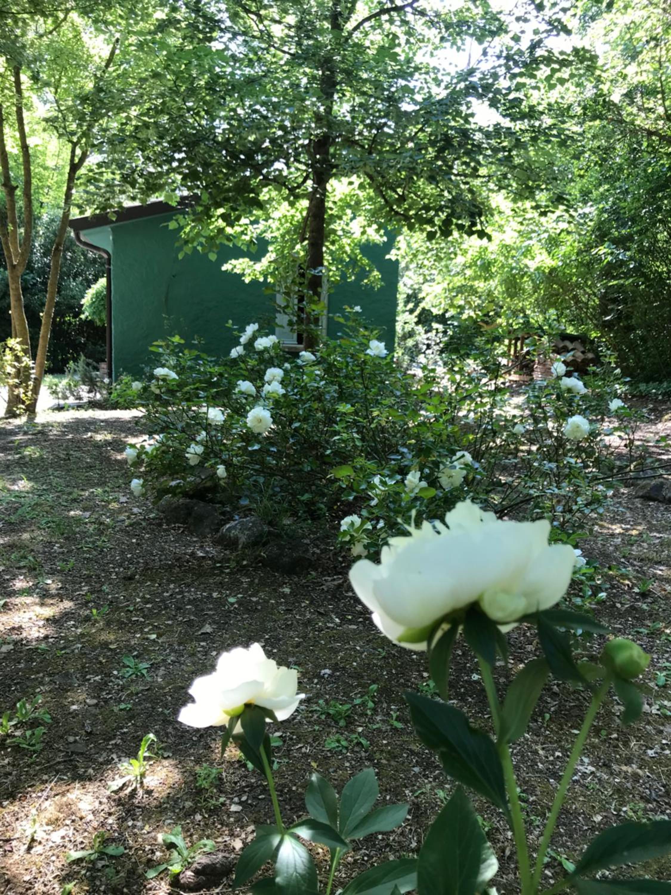 Studio with Garden View - Photo 35