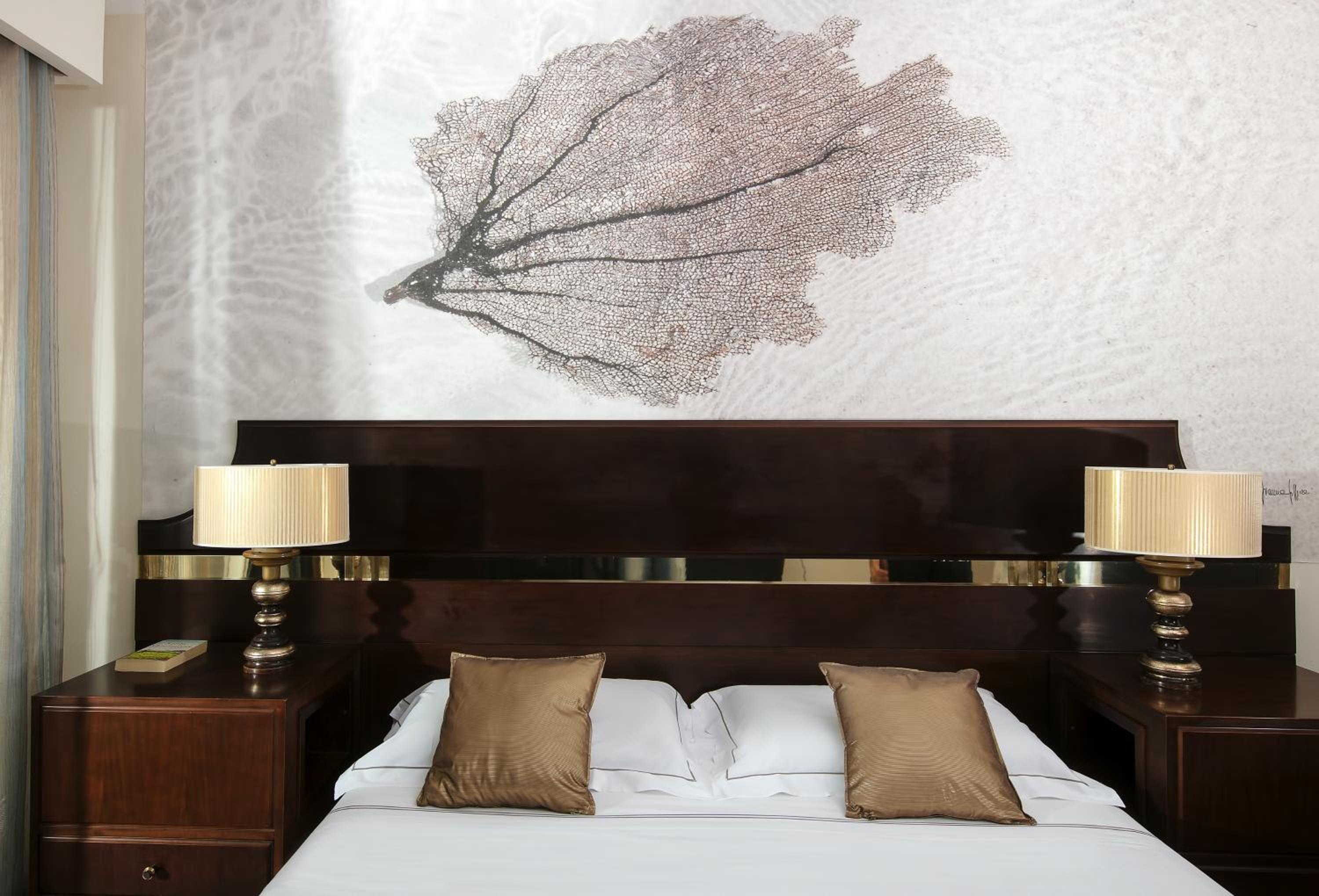 Suite with Terrace photo 2