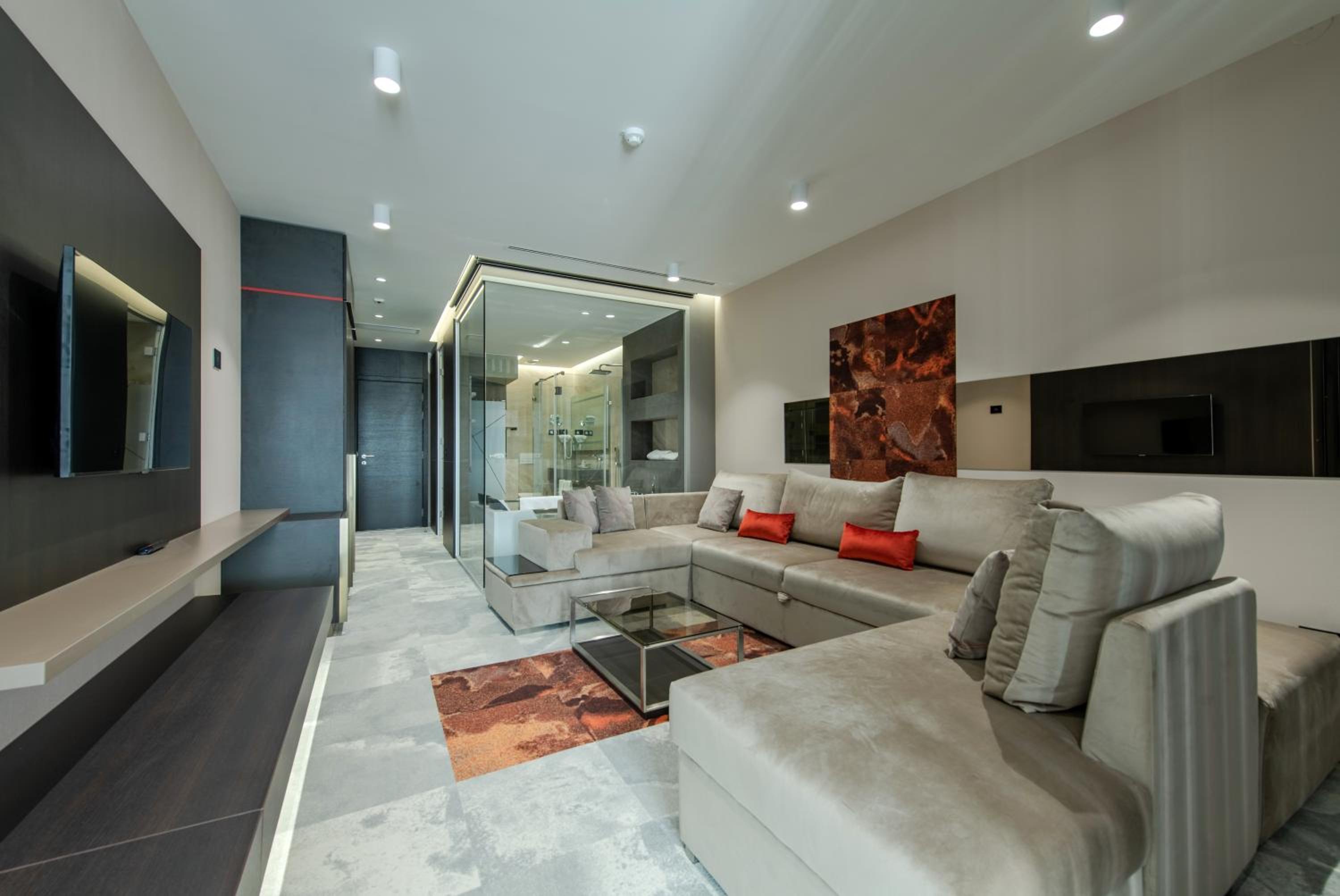 Comfort One-Bedroom Suite - Photo 20