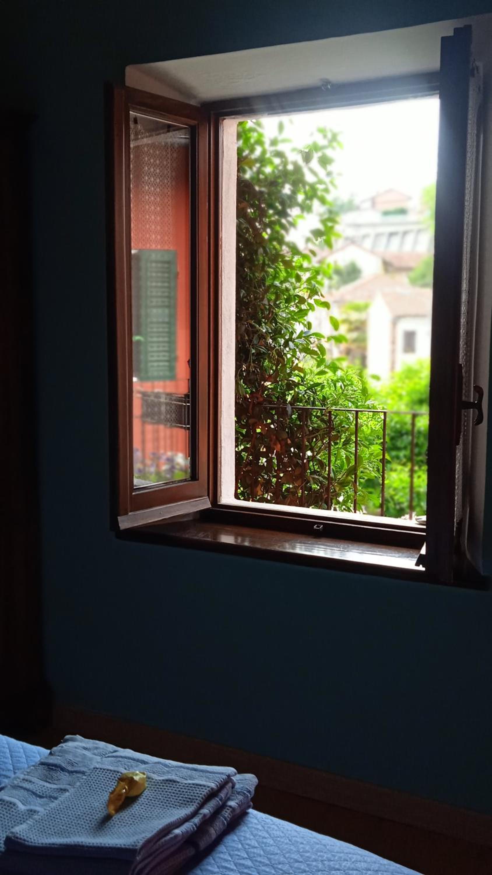 Double Room with Garden View photo 3
