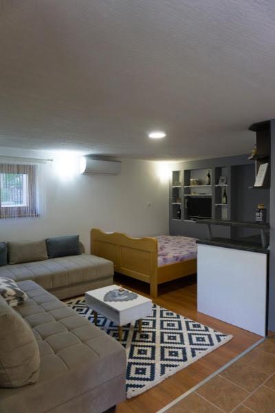 Family Studio