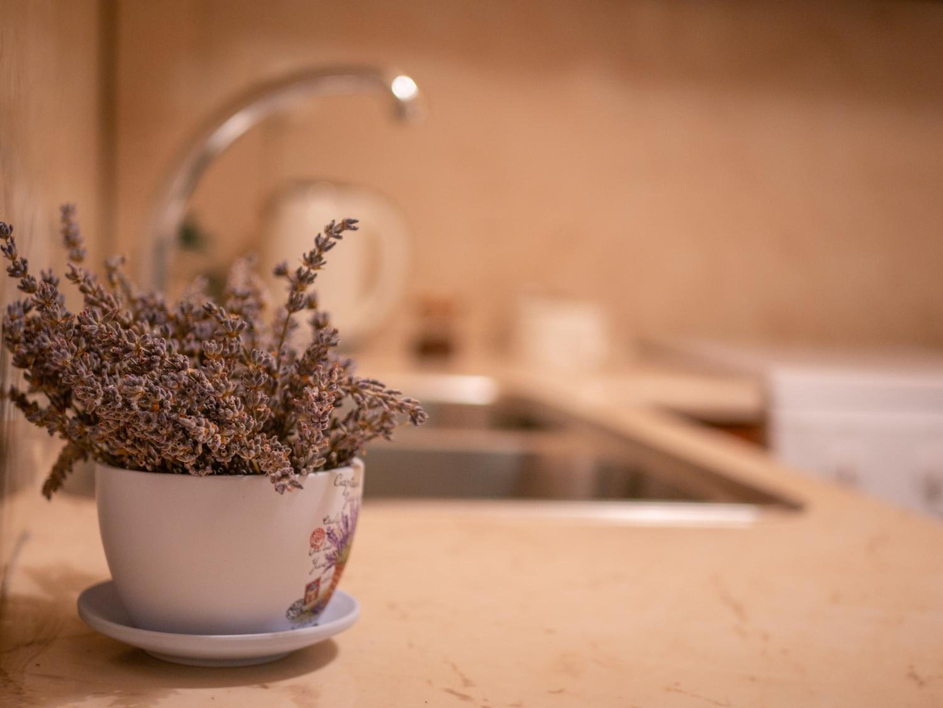 Apartment - Photo 9
