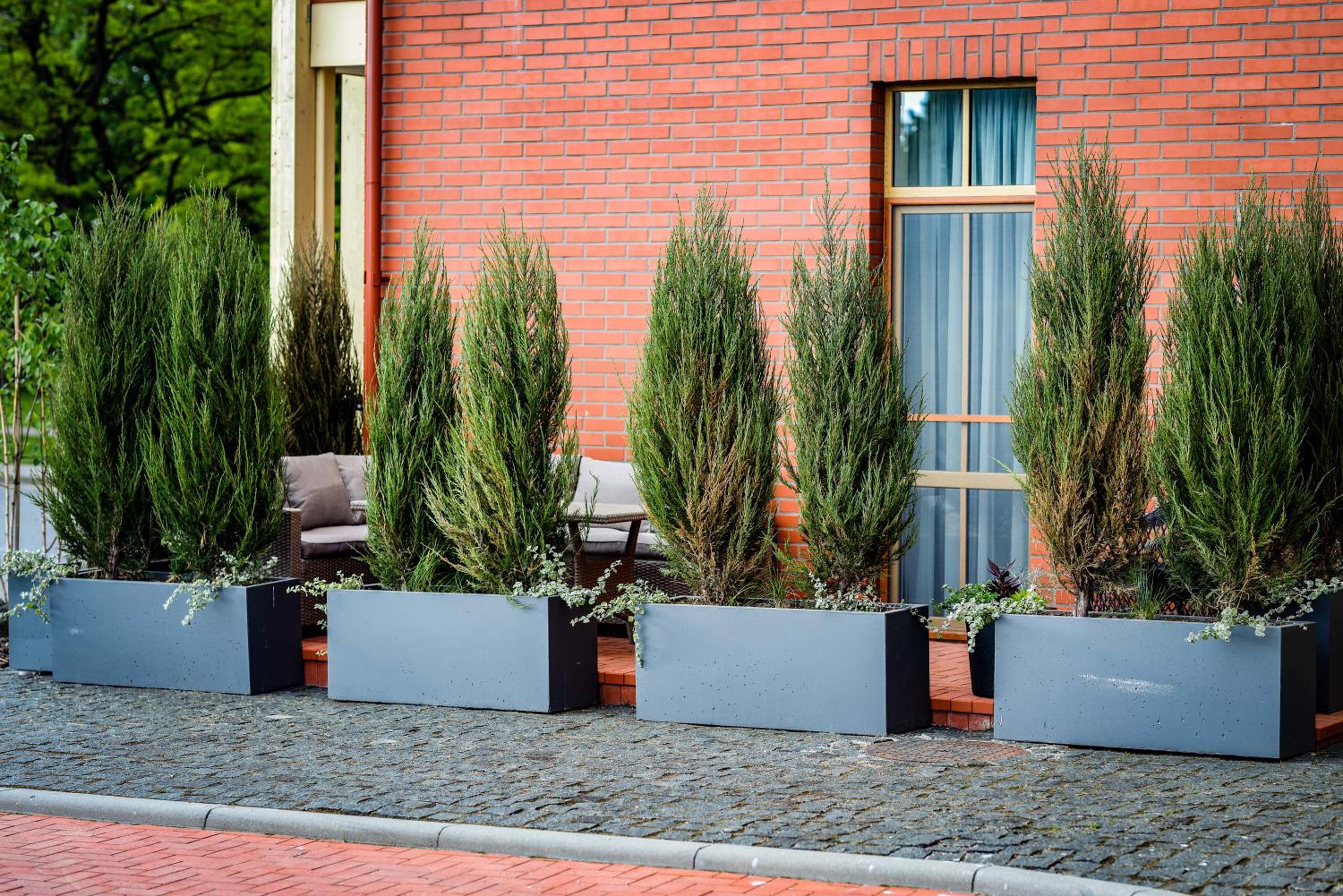 Apartment - Ground Floor - Photo 18
