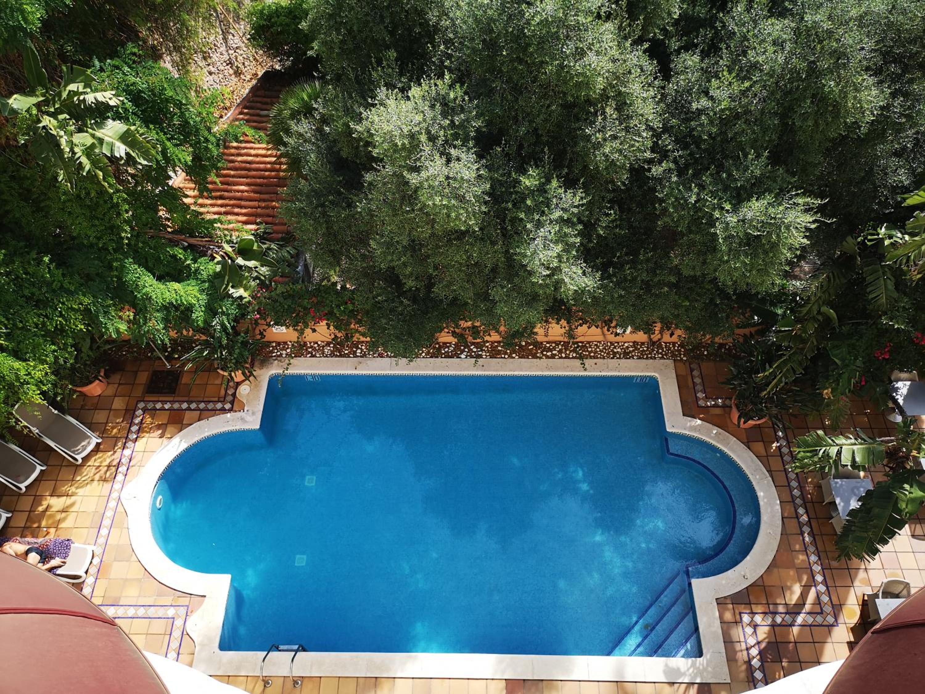 Twin Room with Pool View photo 3