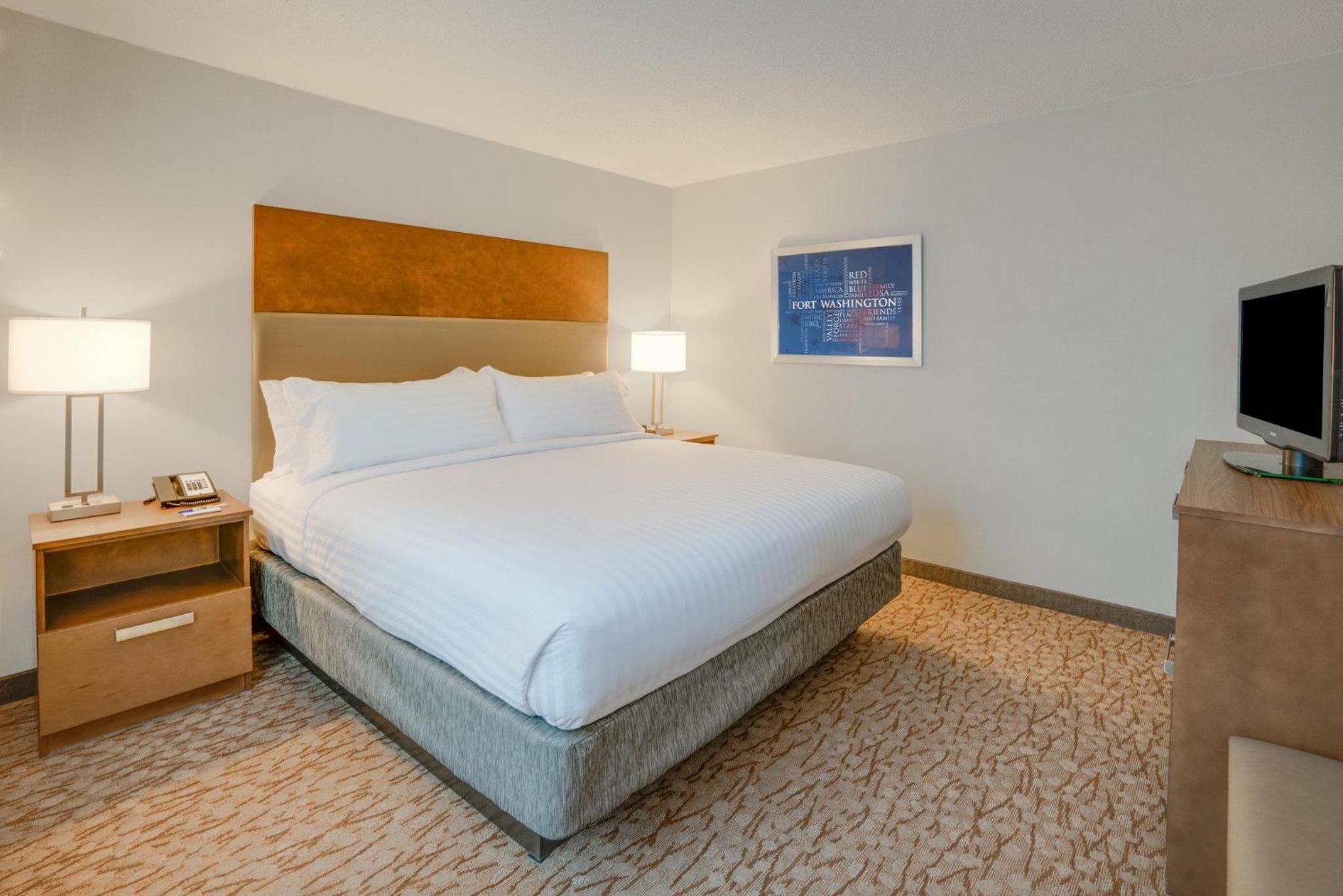 Deluxe King Suite - Non-Smoking - Photo 1