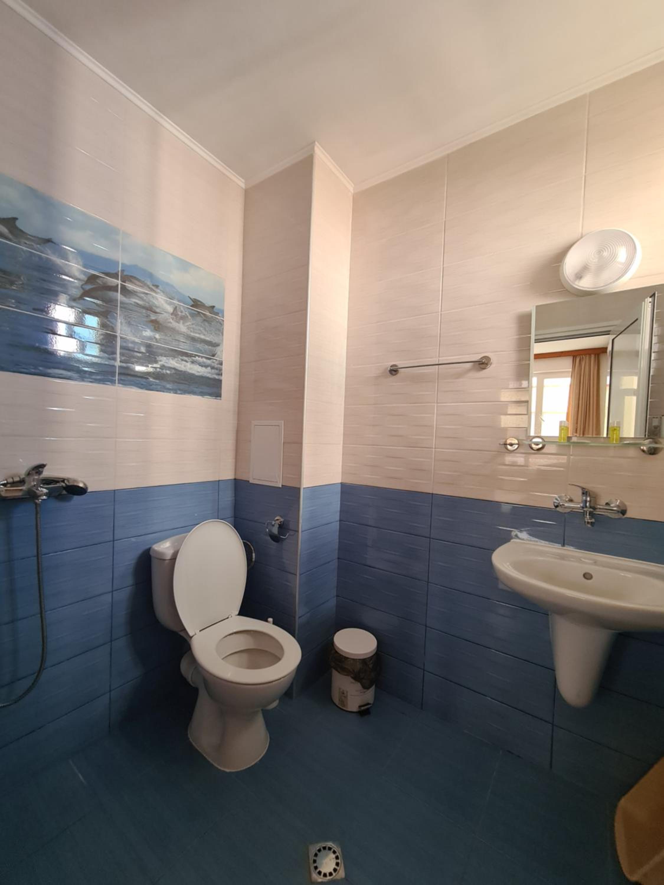 Standard Double Room photo 3